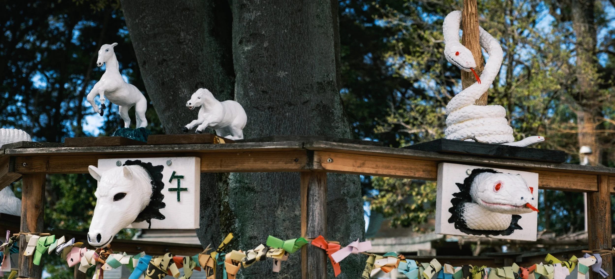 Hanami-4389.jpg