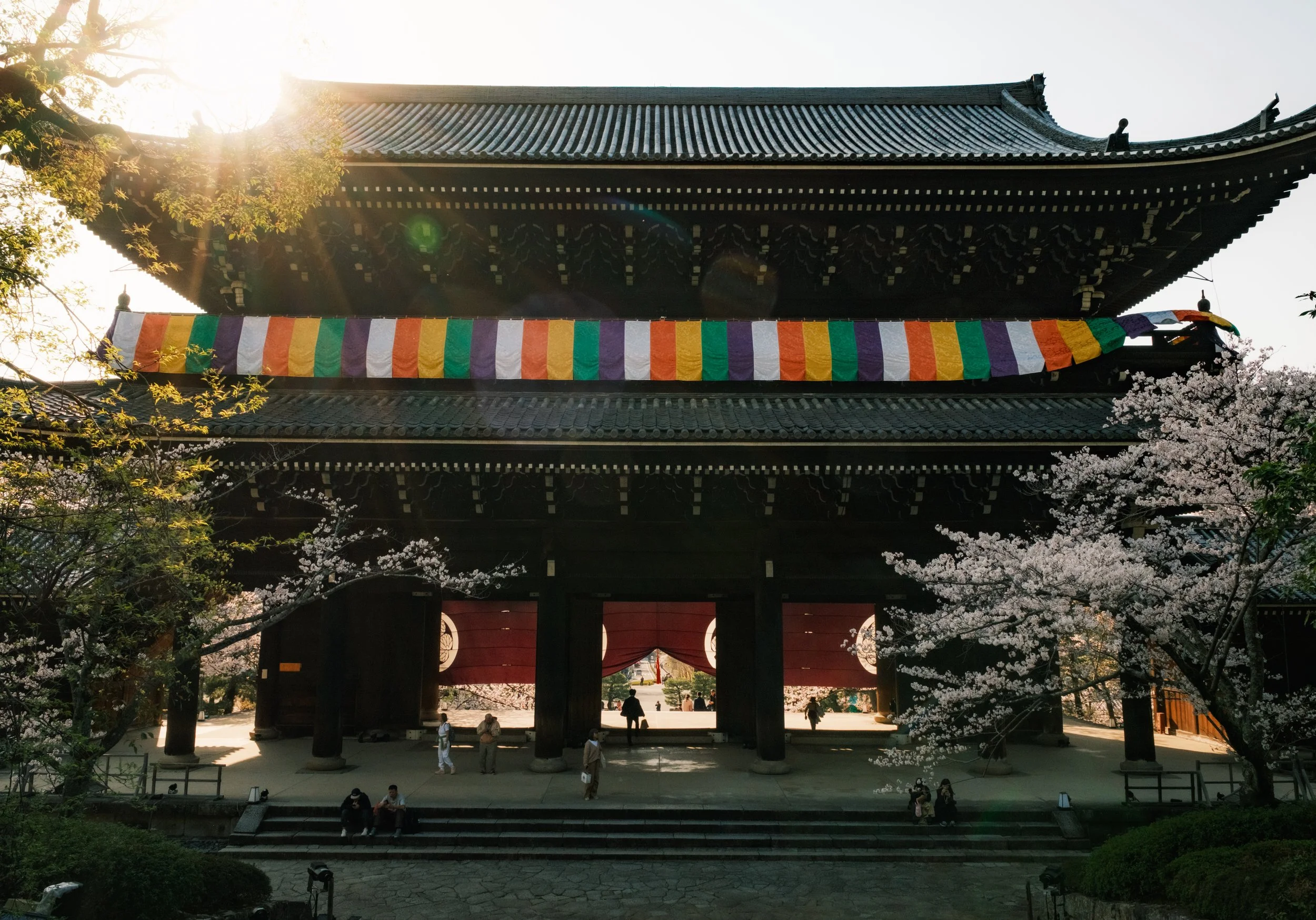 Hanami-7285.jpg