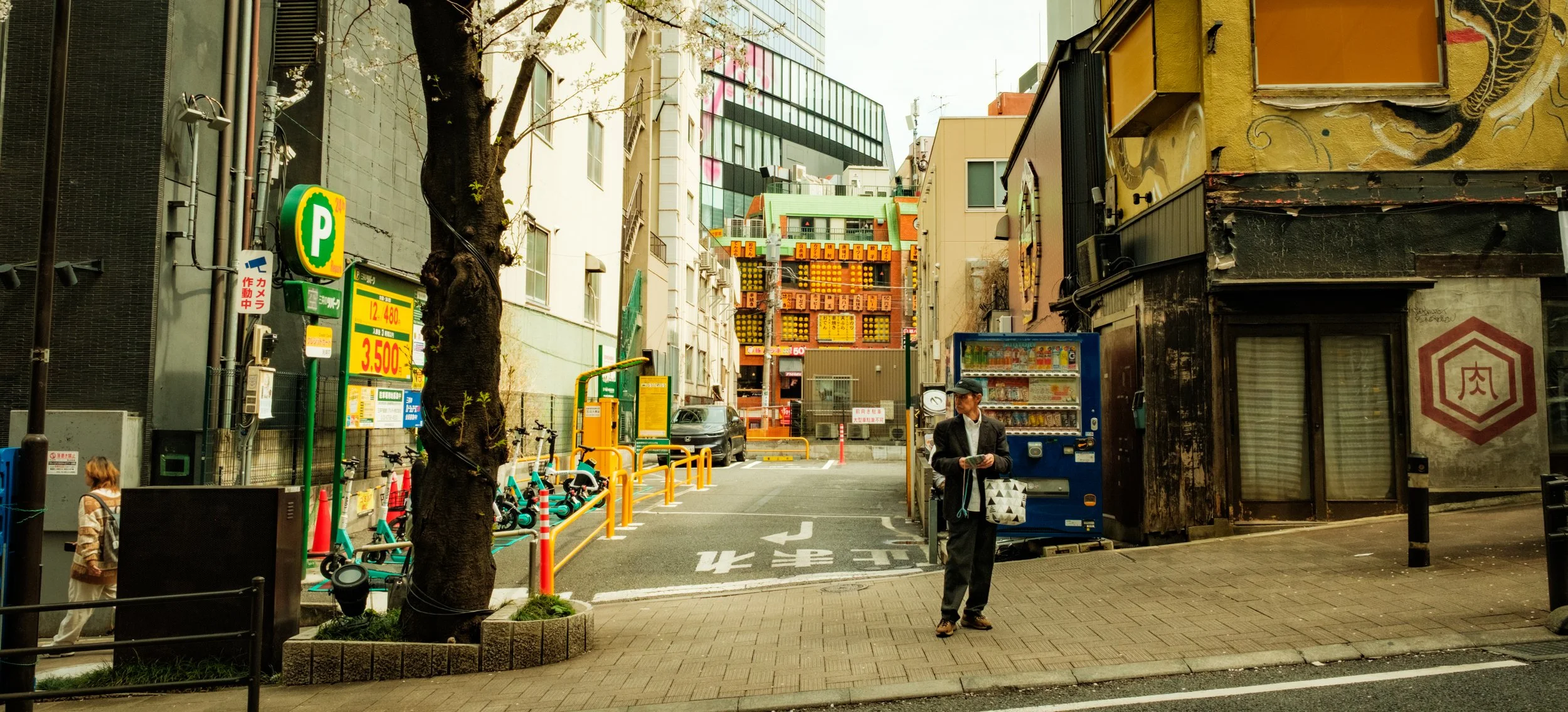 Hanami-477.jpg