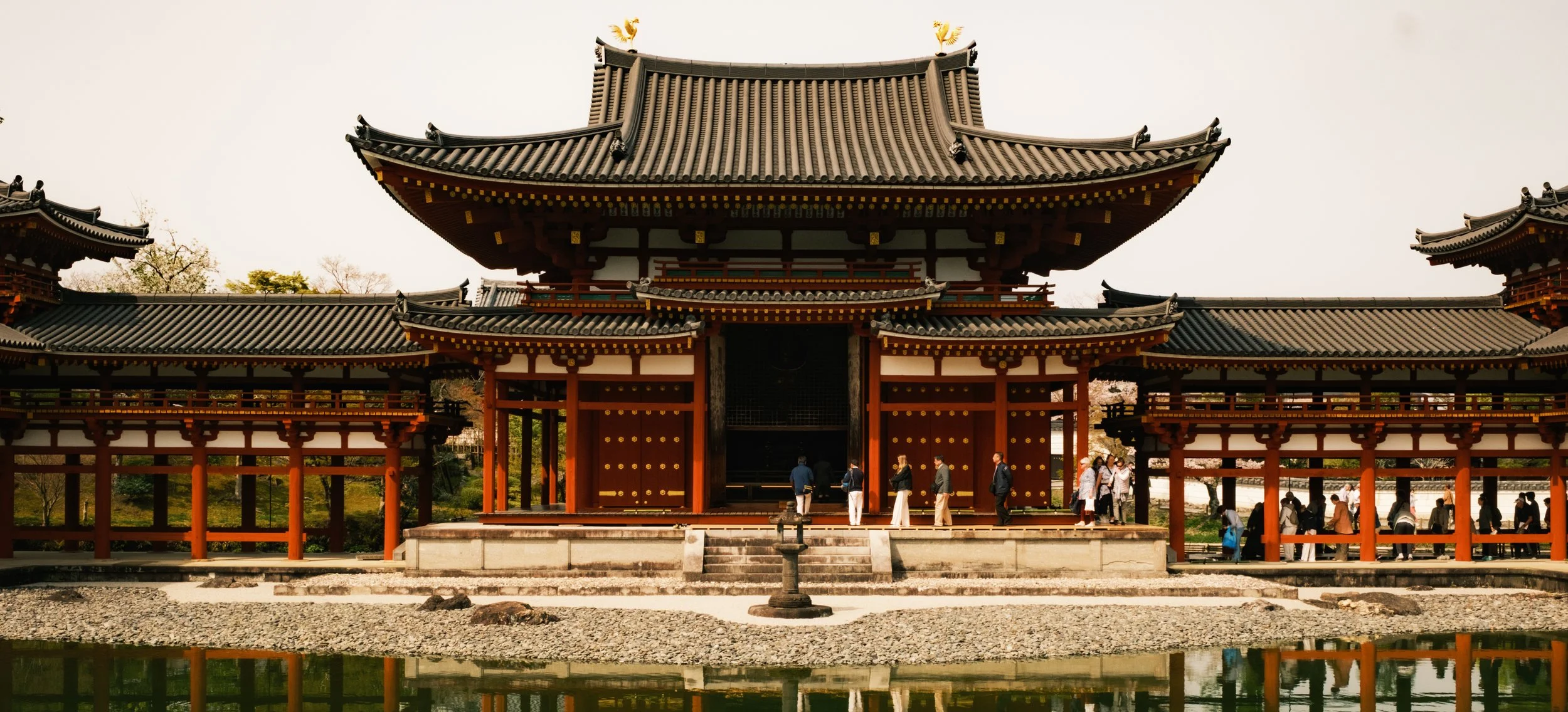 Hanami-7540.jpg