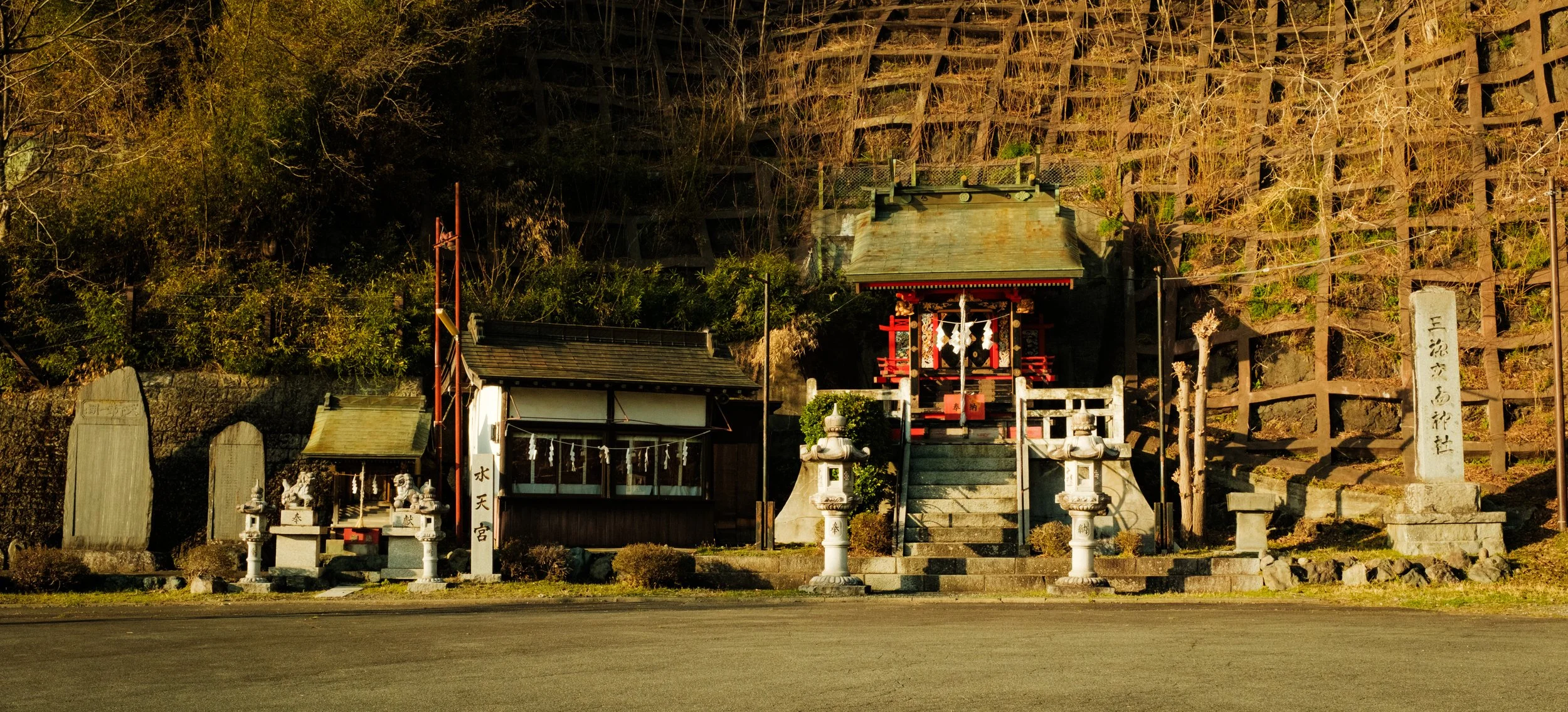Hanami-10996.jpg