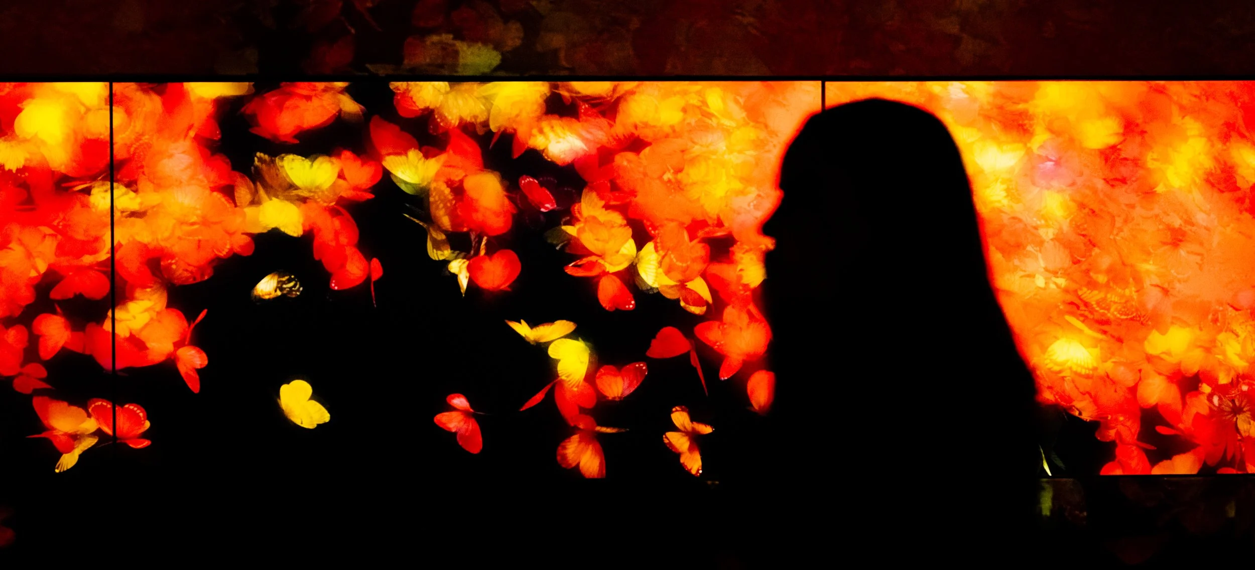 Hanami-10214.jpg