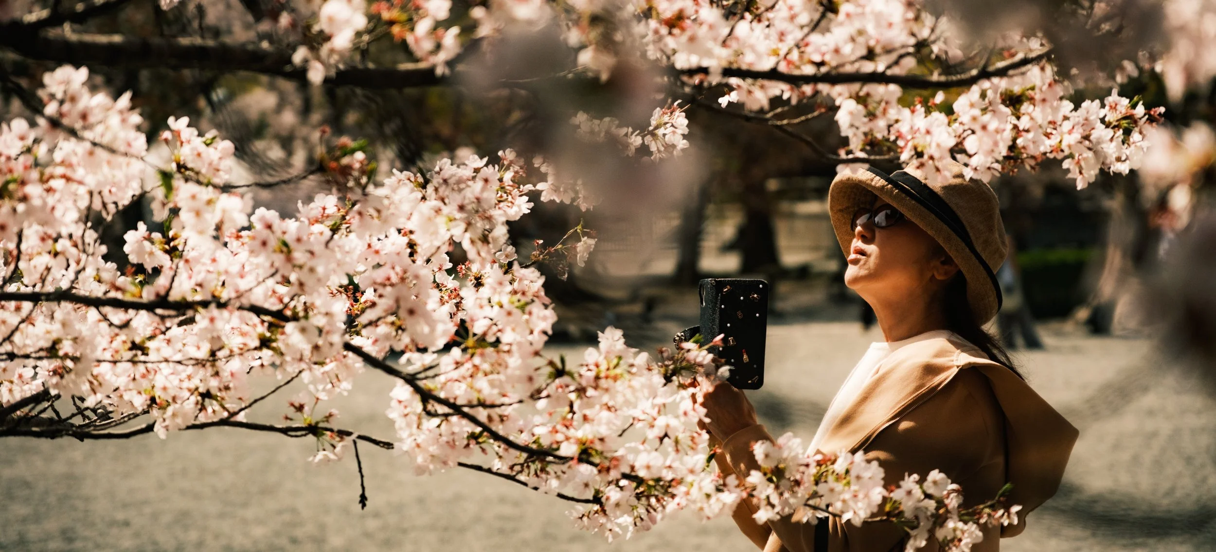 Hanami-8328.jpg