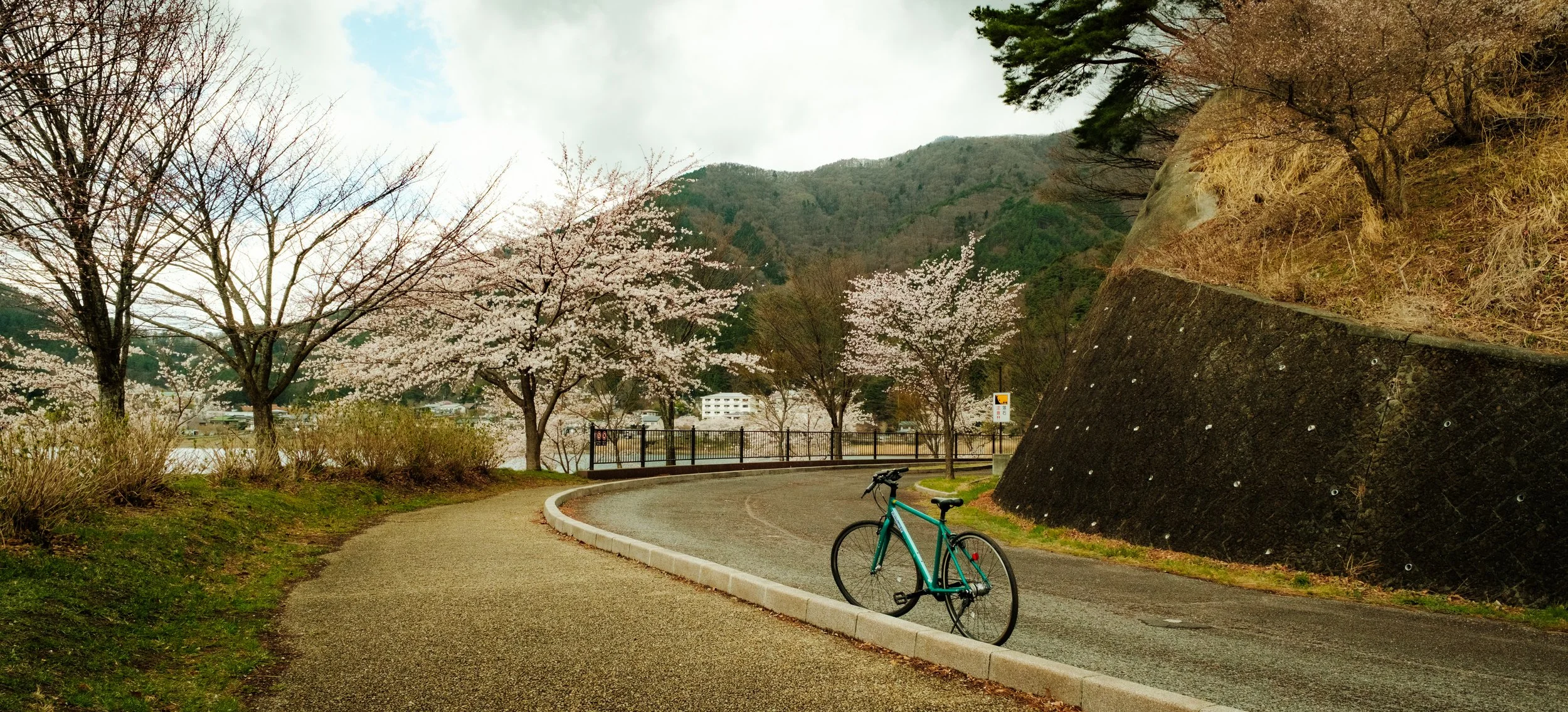 Hanami-11254.jpg
