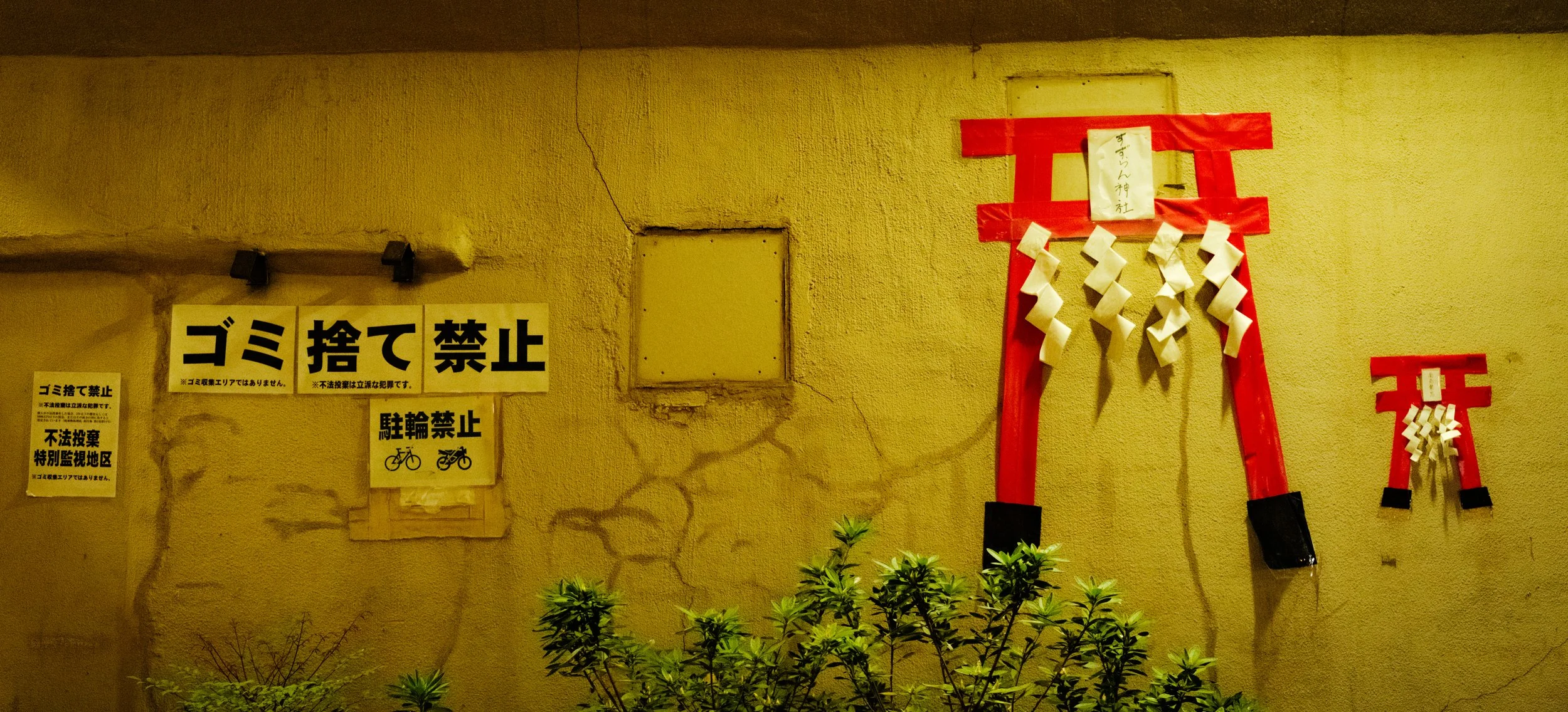Hanami-10003.jpg