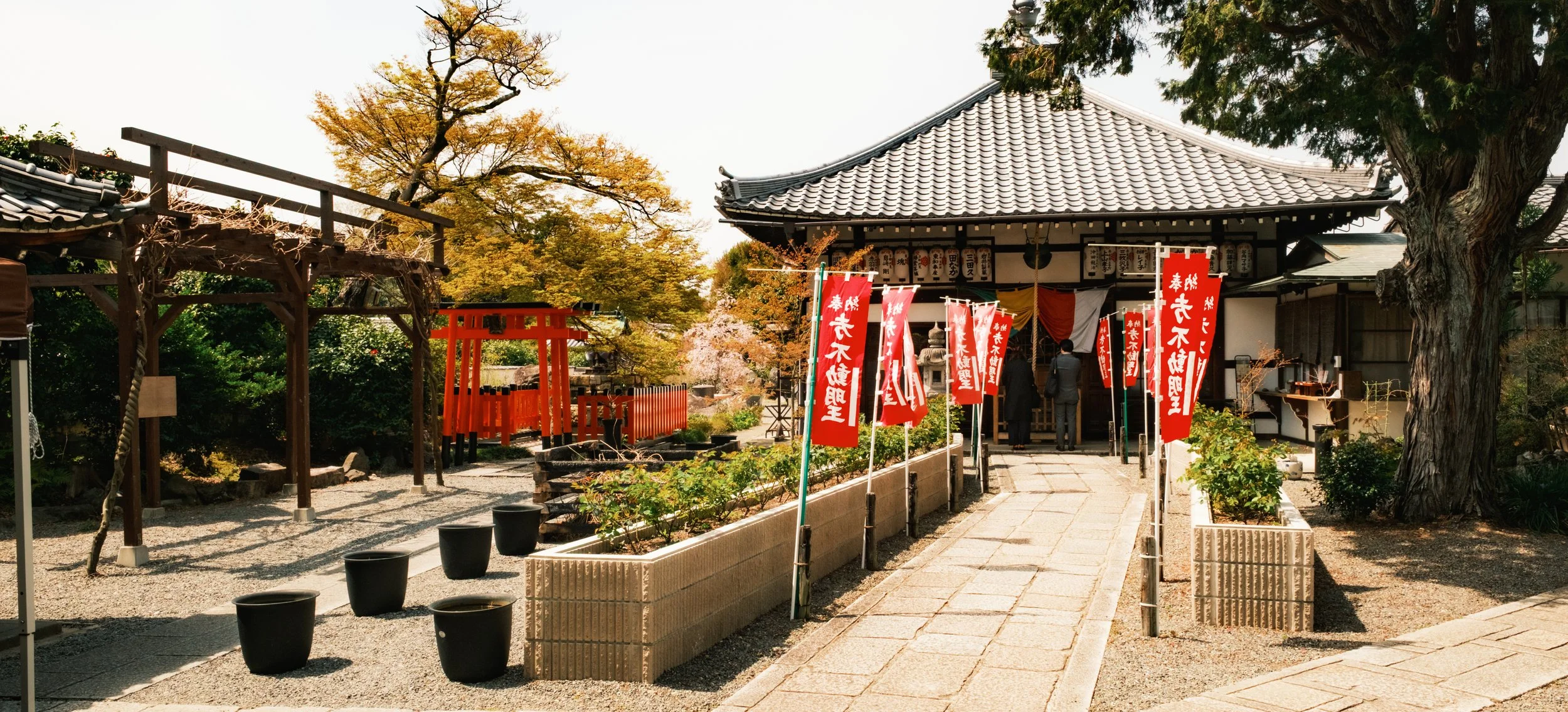 Hanami-7594.jpg