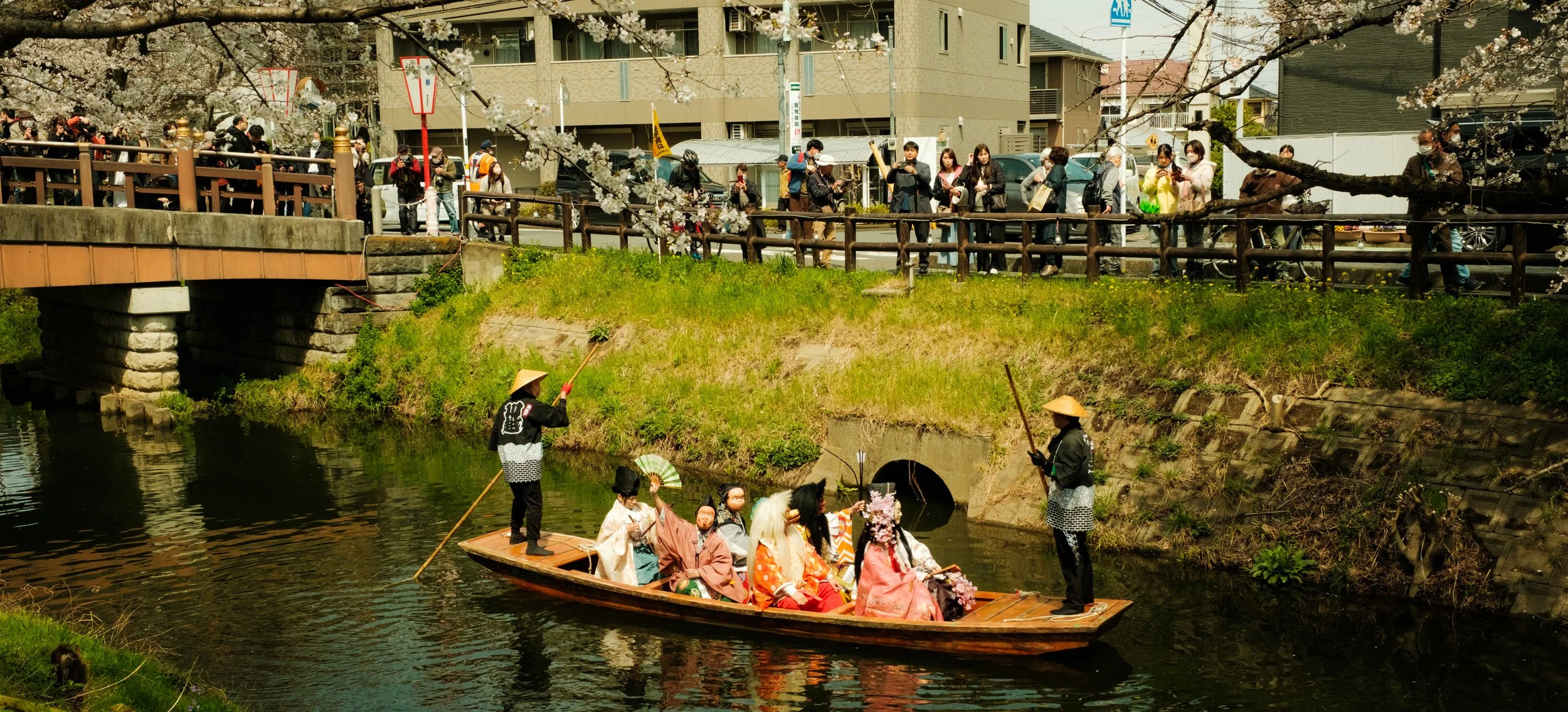 Hanami-1819.jpg