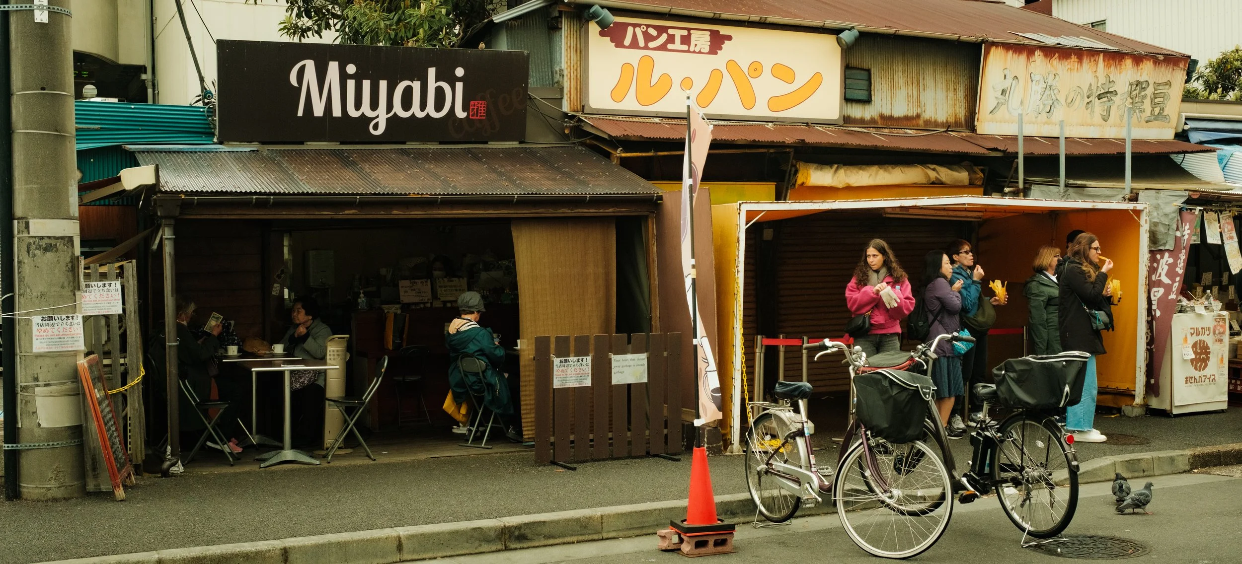 Hanami-2596.jpg