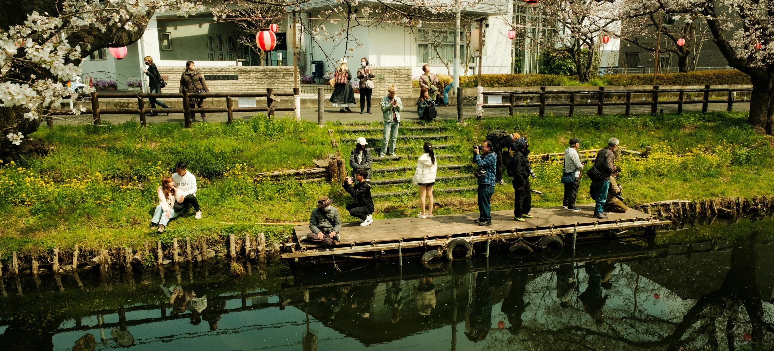 Hanami-1832.jpg