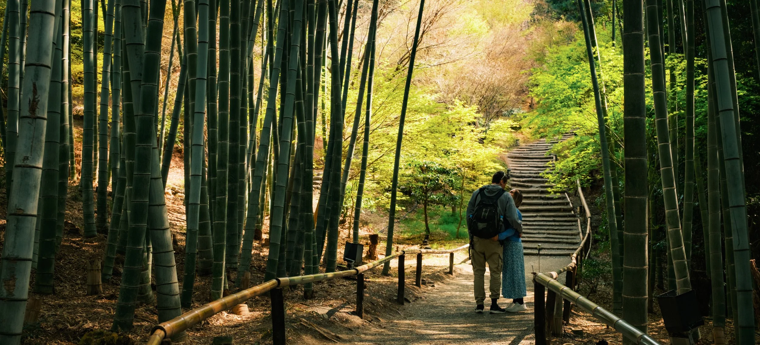 Hanami-6766.jpg