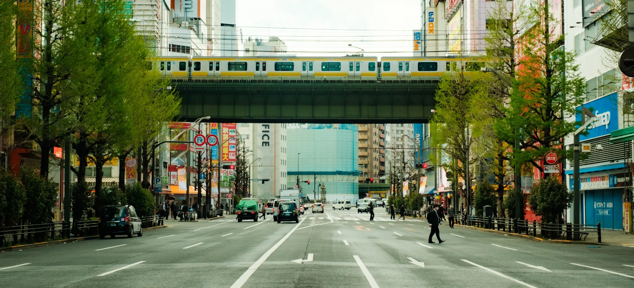 Hanami-10671.jpg