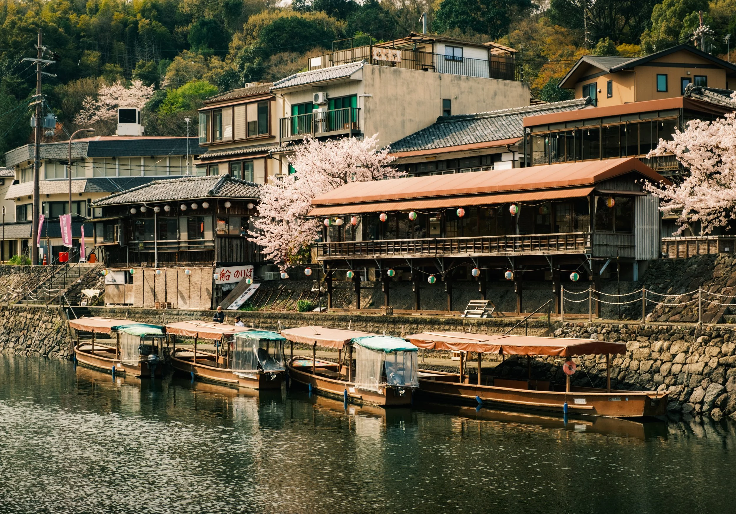 Hanami-7487.jpg