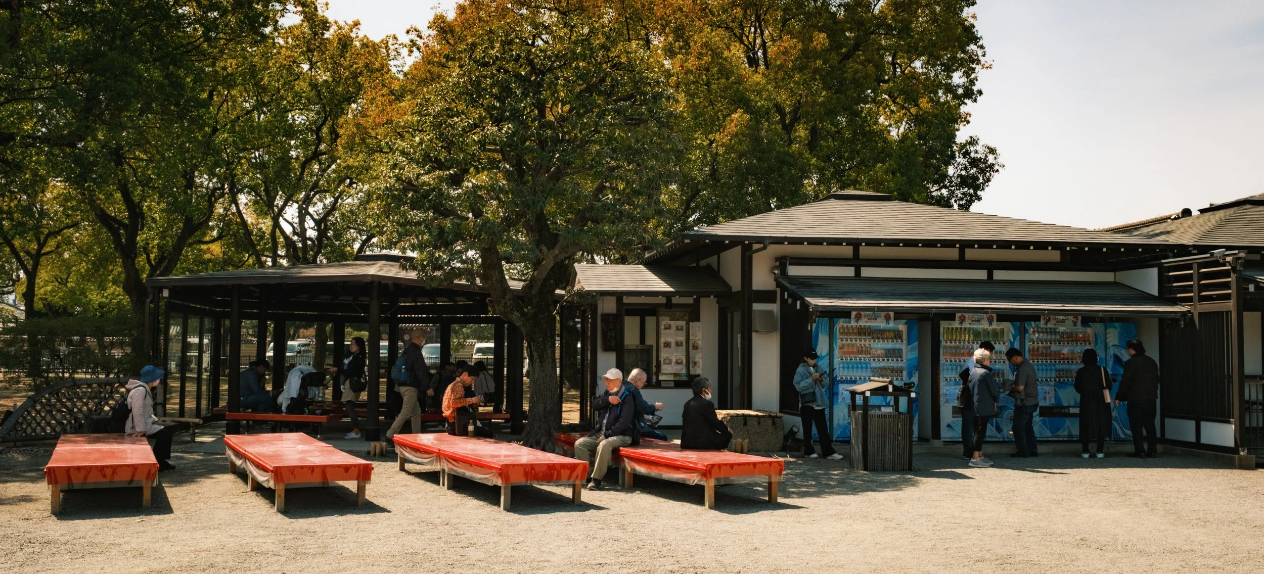 Hanami-8299.jpg