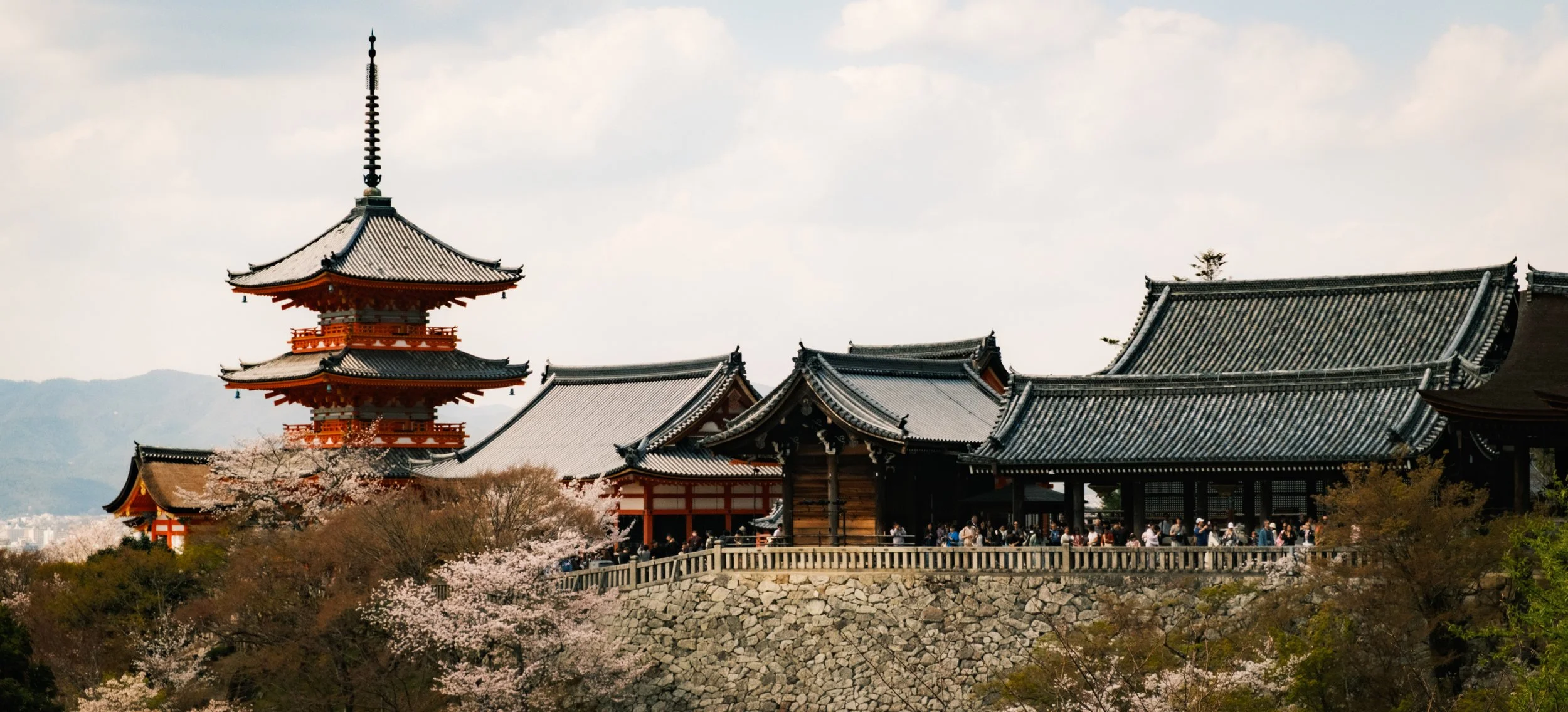 Hanami-7064.jpg