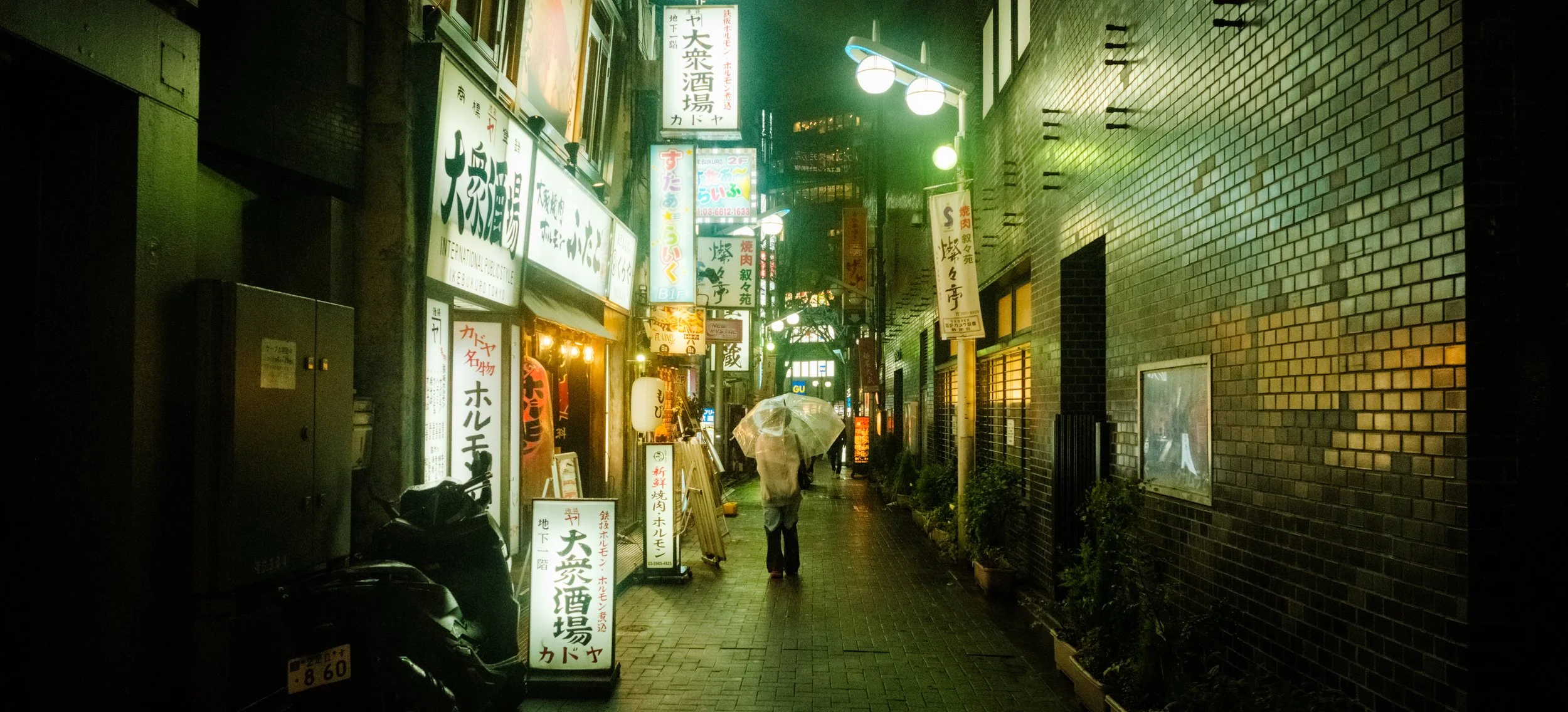 Hanami-10555.jpg