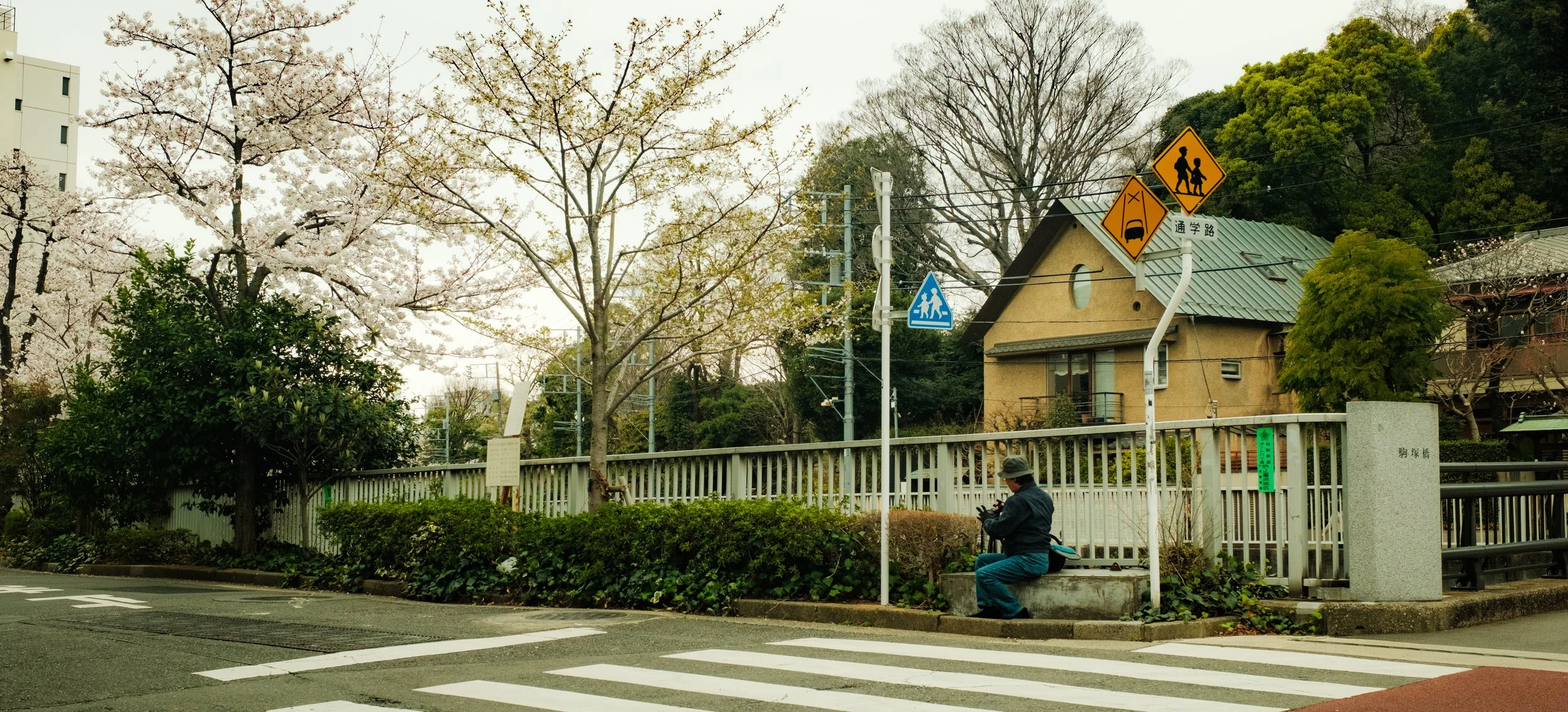 Hanami-2447.jpg