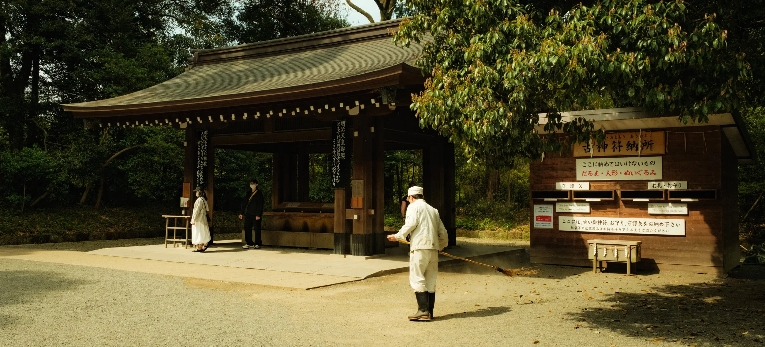 Hanami-12017.jpg