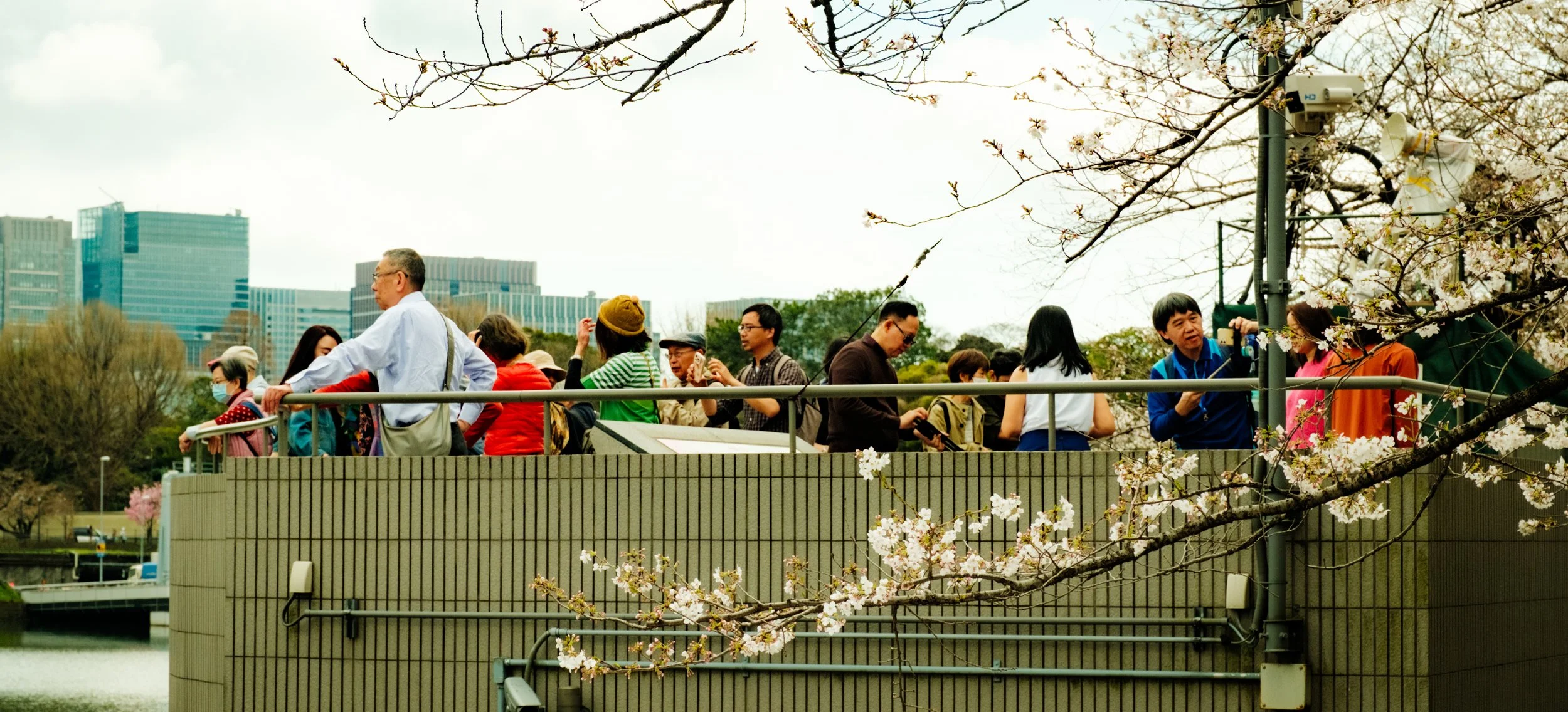 Hanami-372.jpg