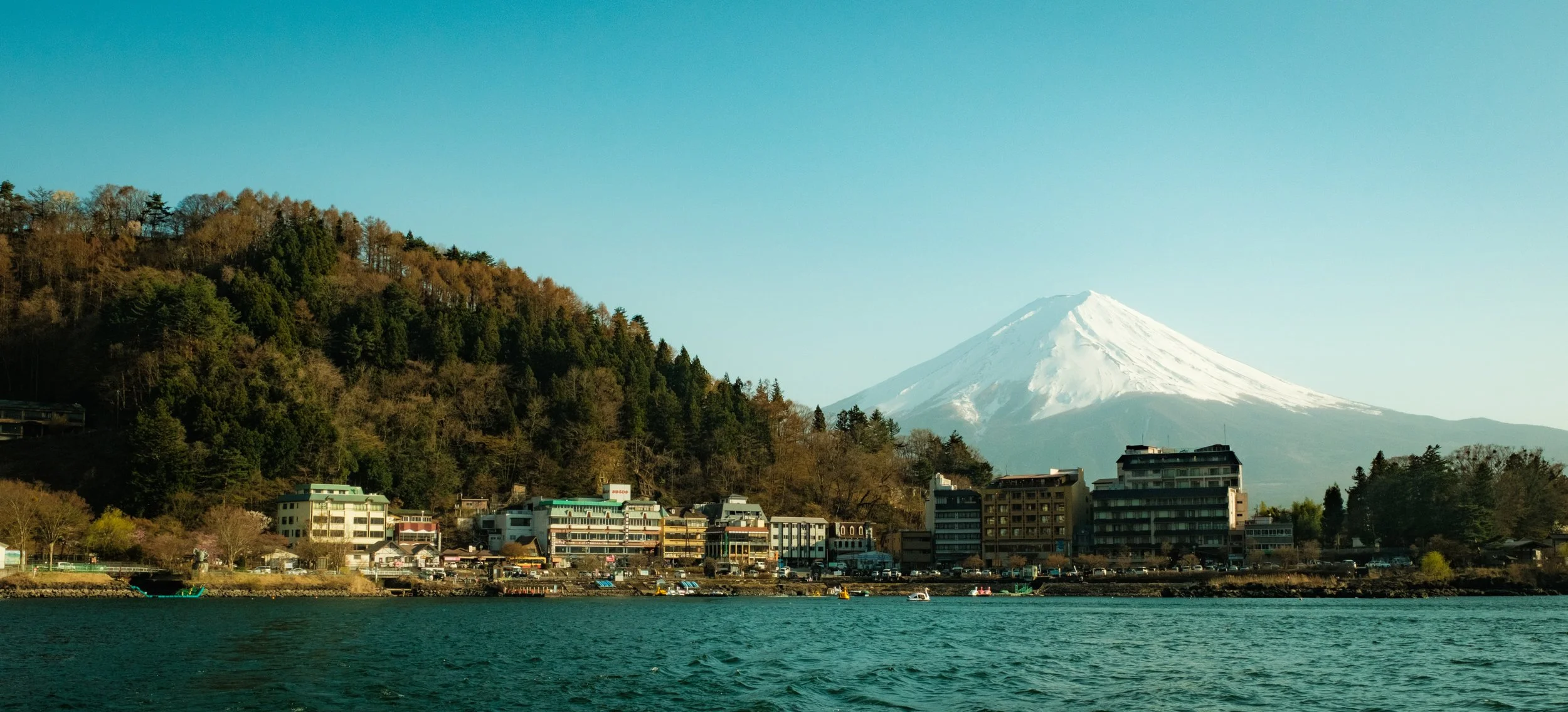 Hanami-10935.jpg