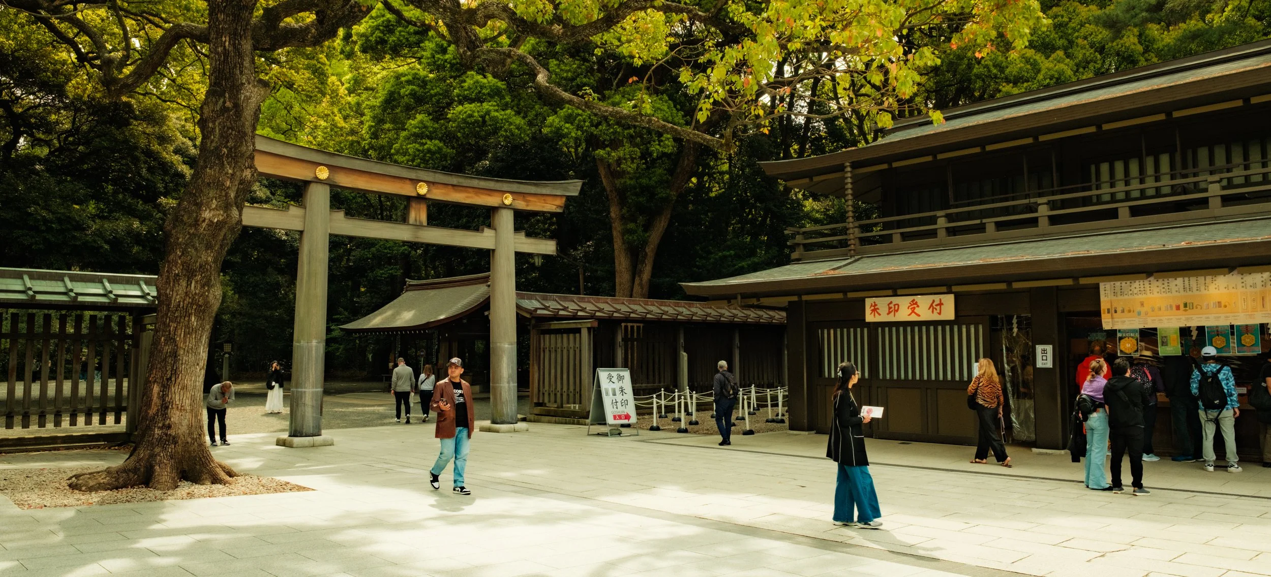Hanami-12004.jpg