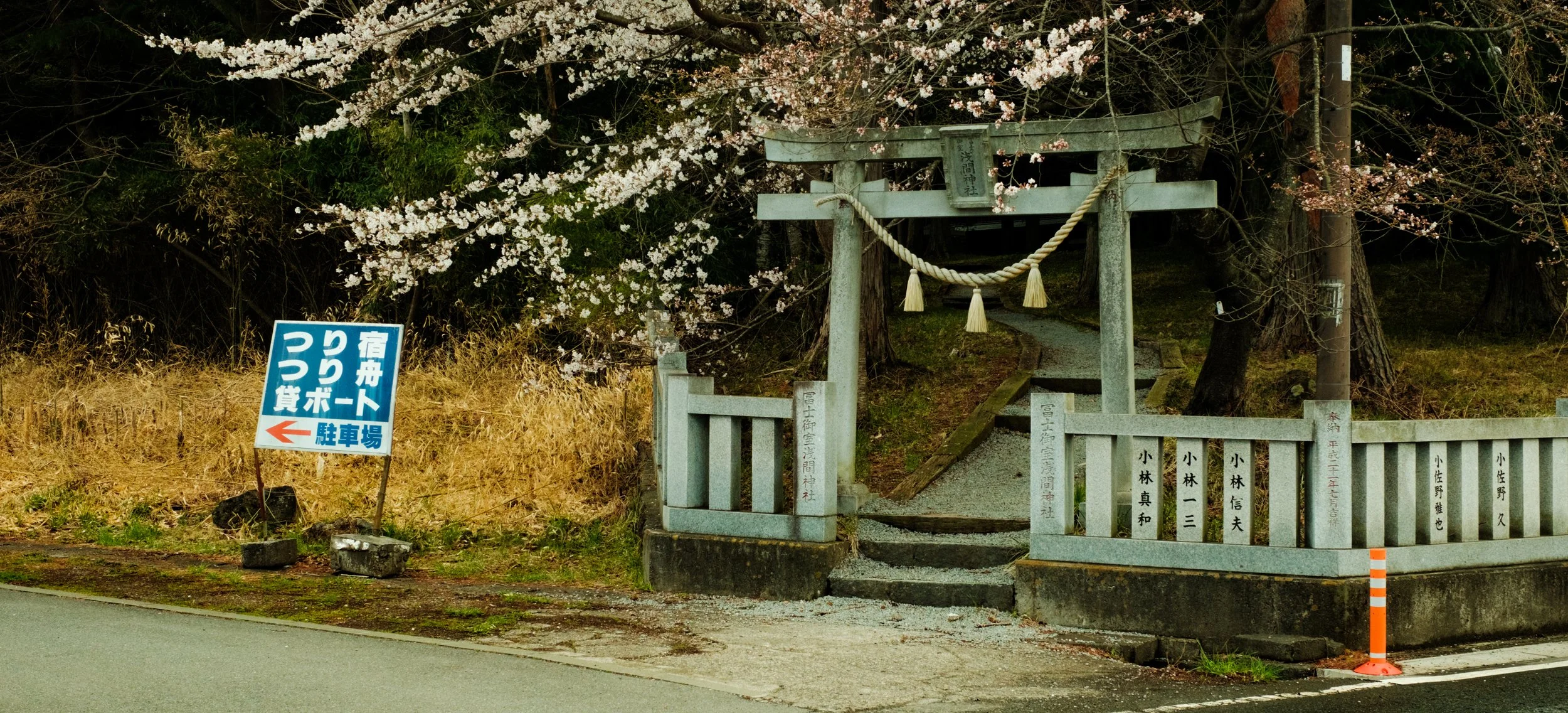 Hanami-11363.jpg
