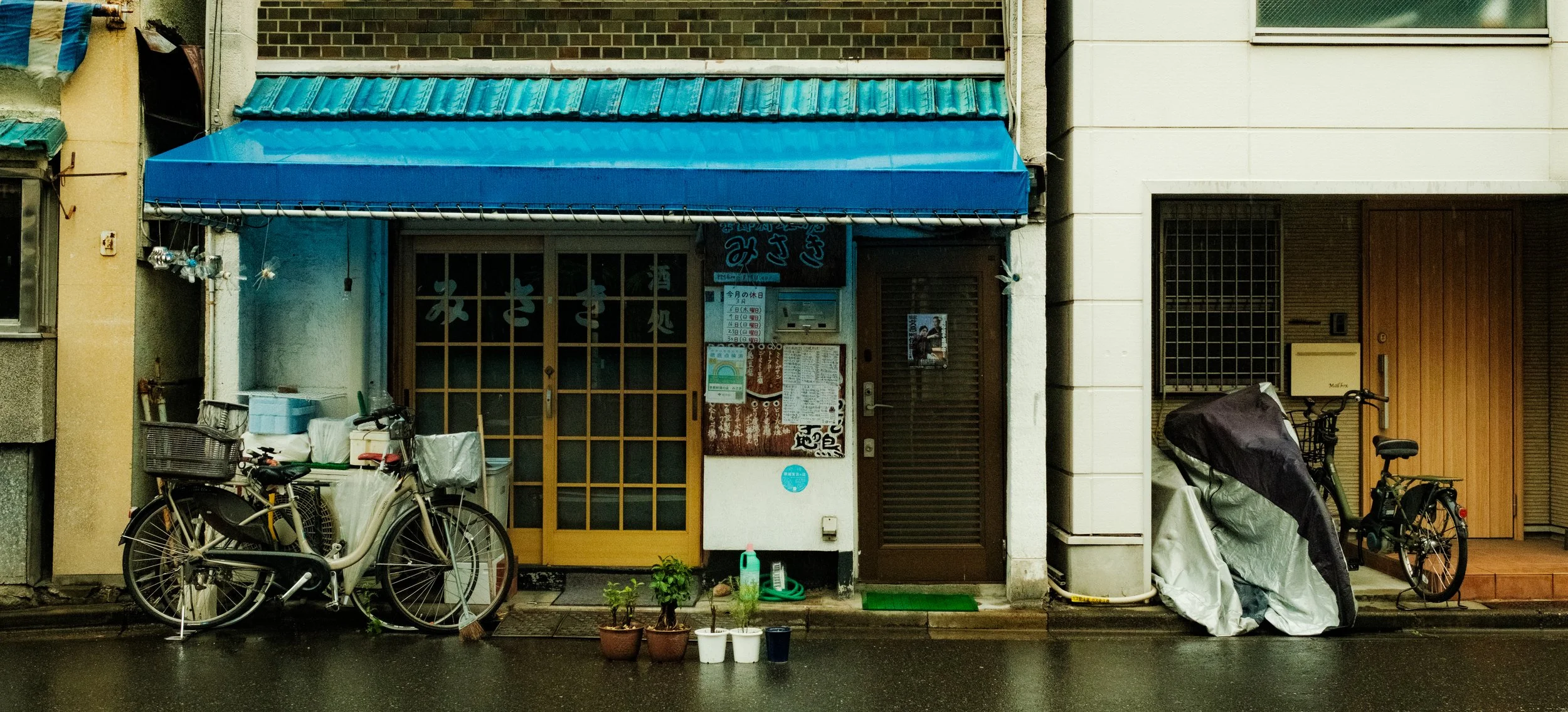 Hanami-1206.jpg