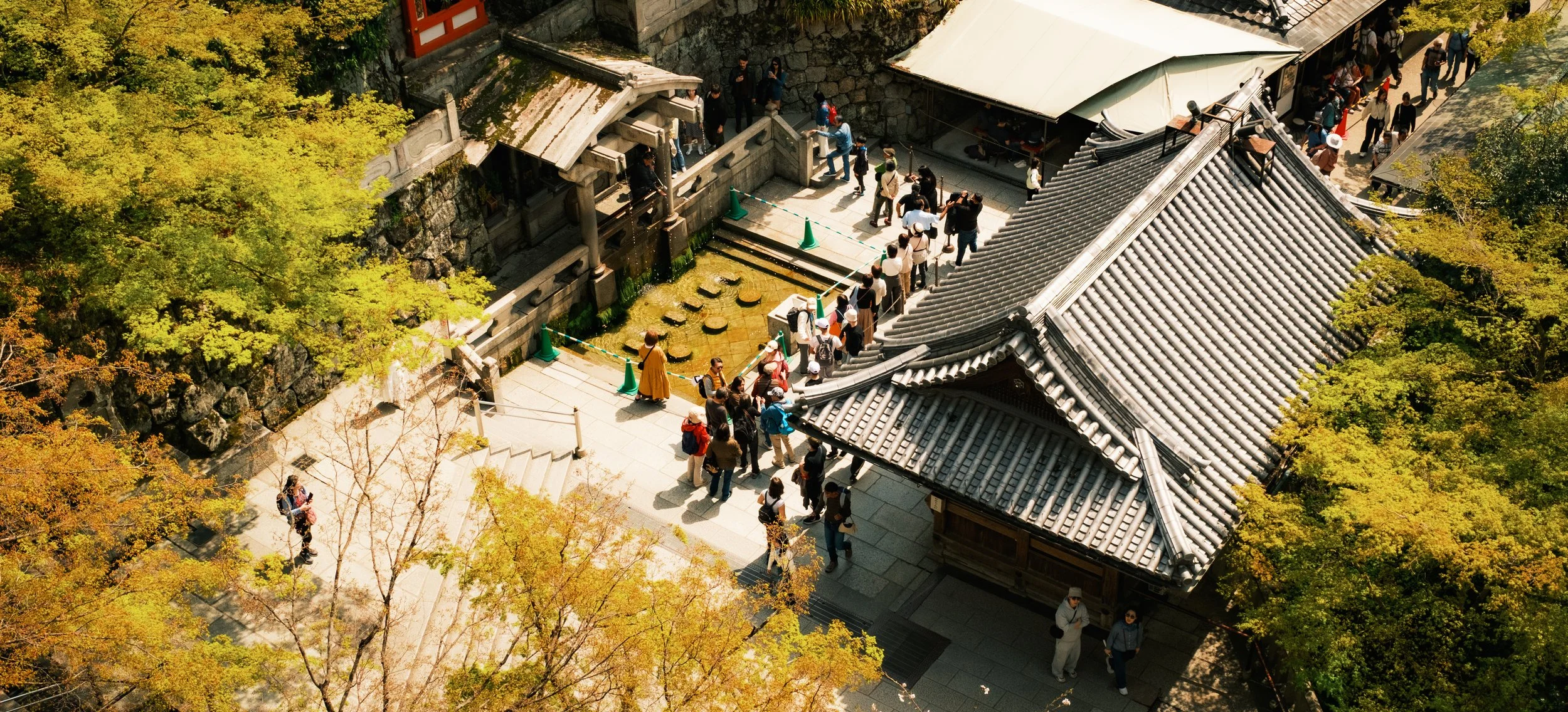 Hanami-7001.jpg