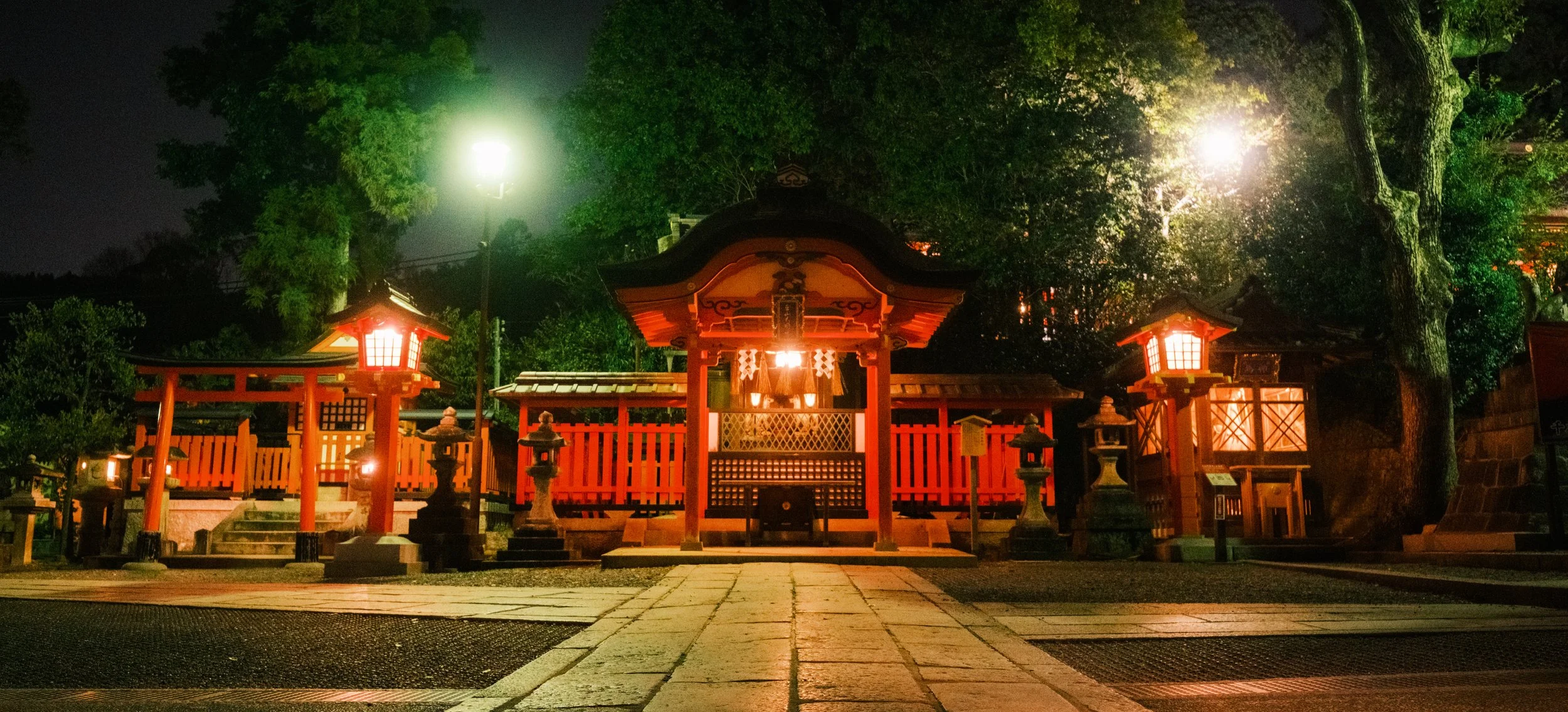 Hanami-7948.jpg