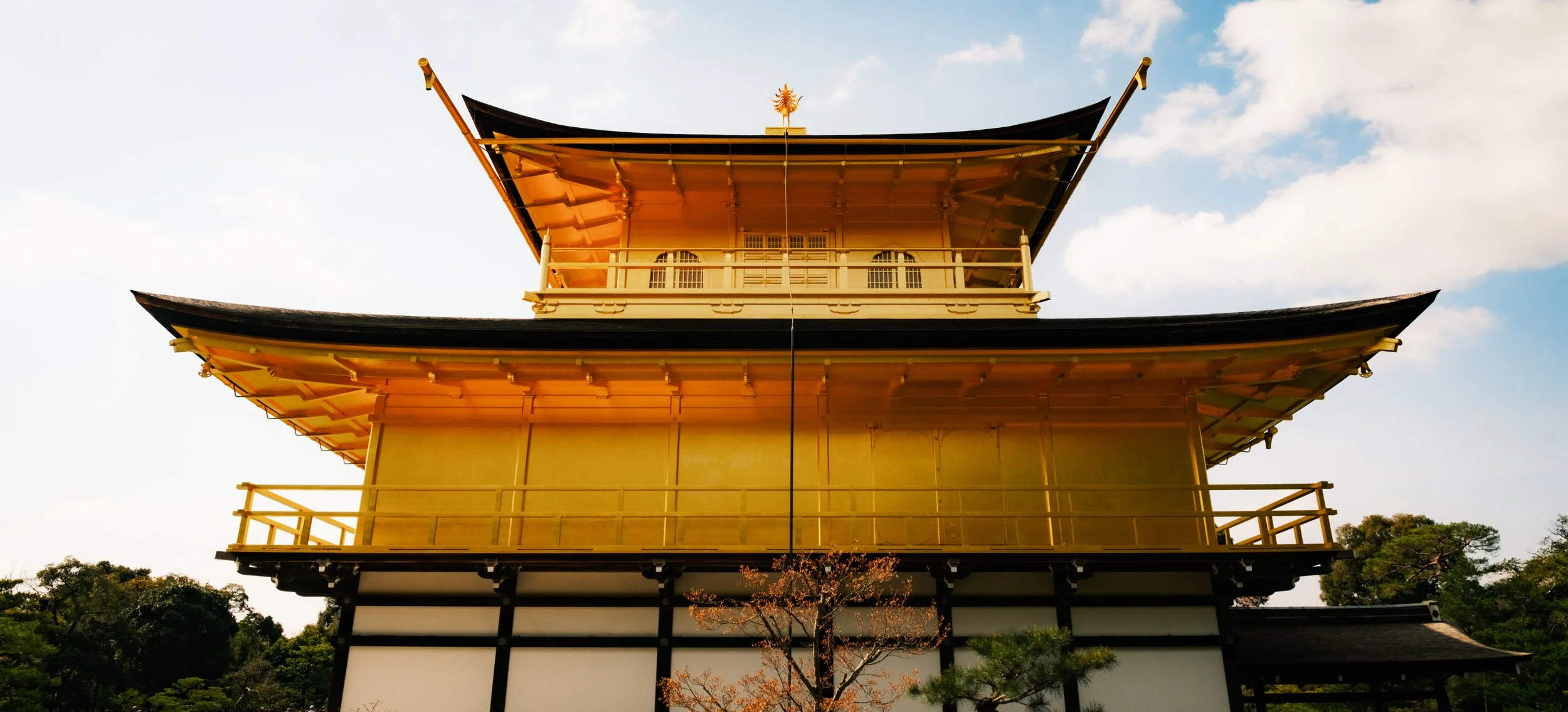 Hanami-8208.jpg