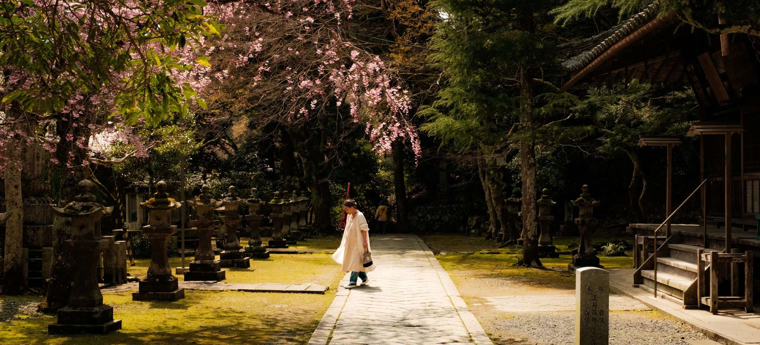 Hanami-5918.jpg