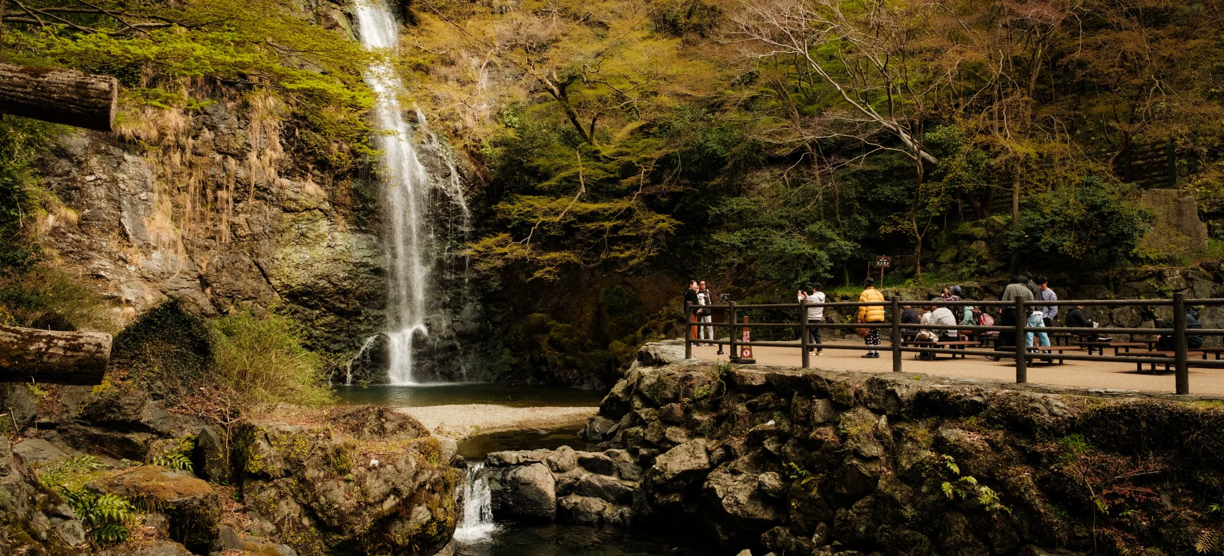 Hanami-6069.jpg