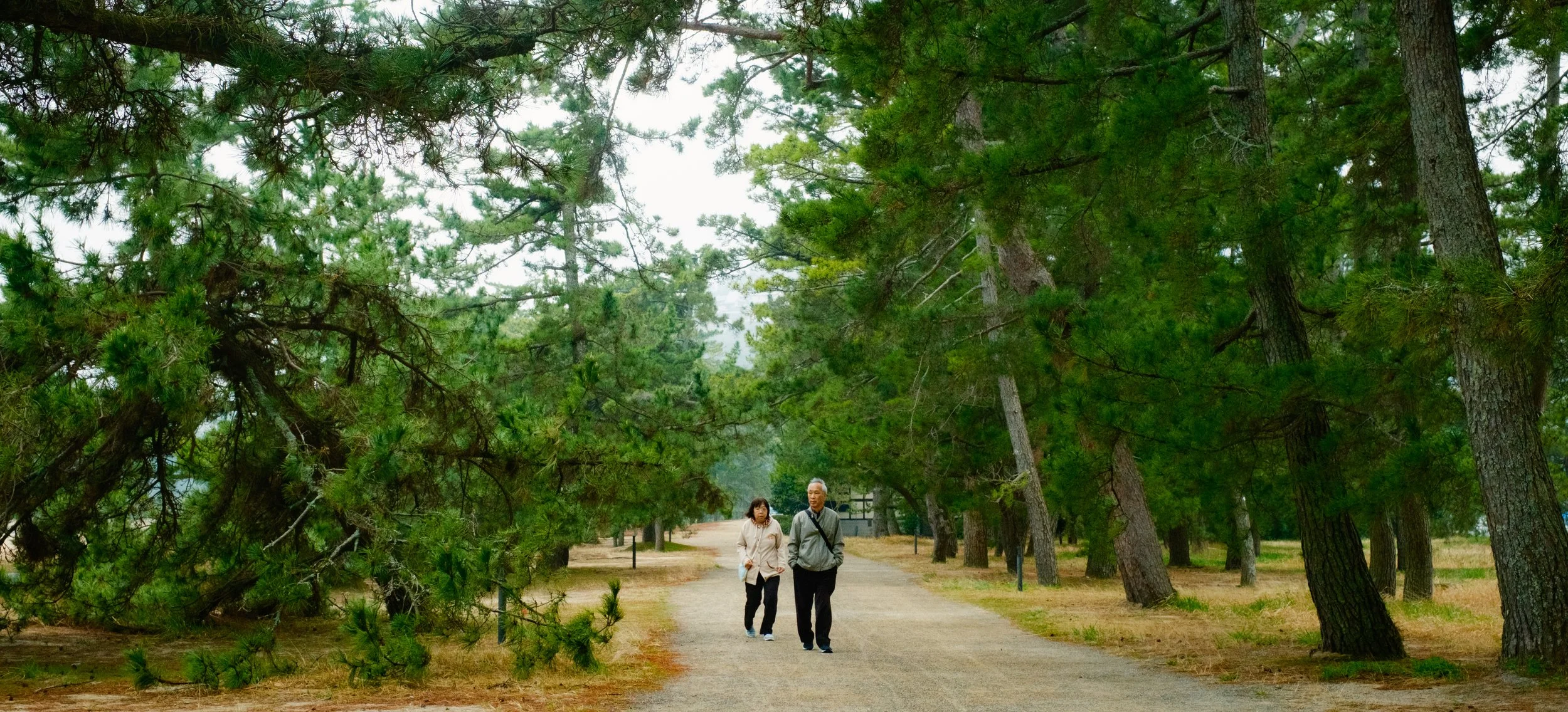 Hanami-9268.jpg