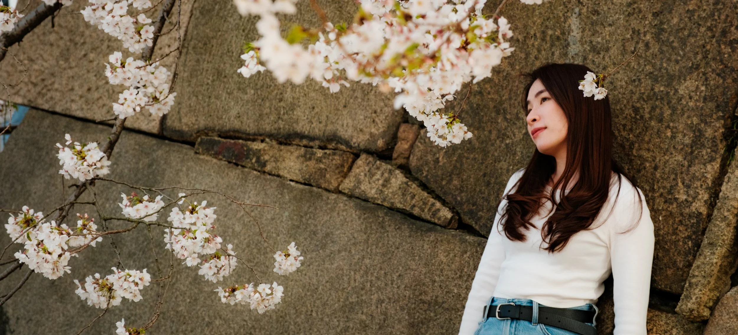 Hanami-5049.jpg