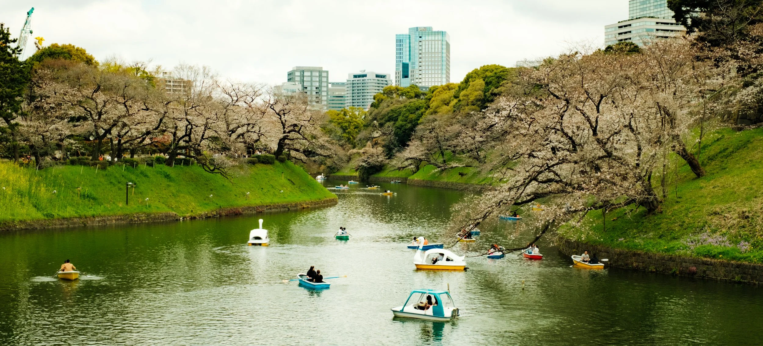 Hanami-390.jpg