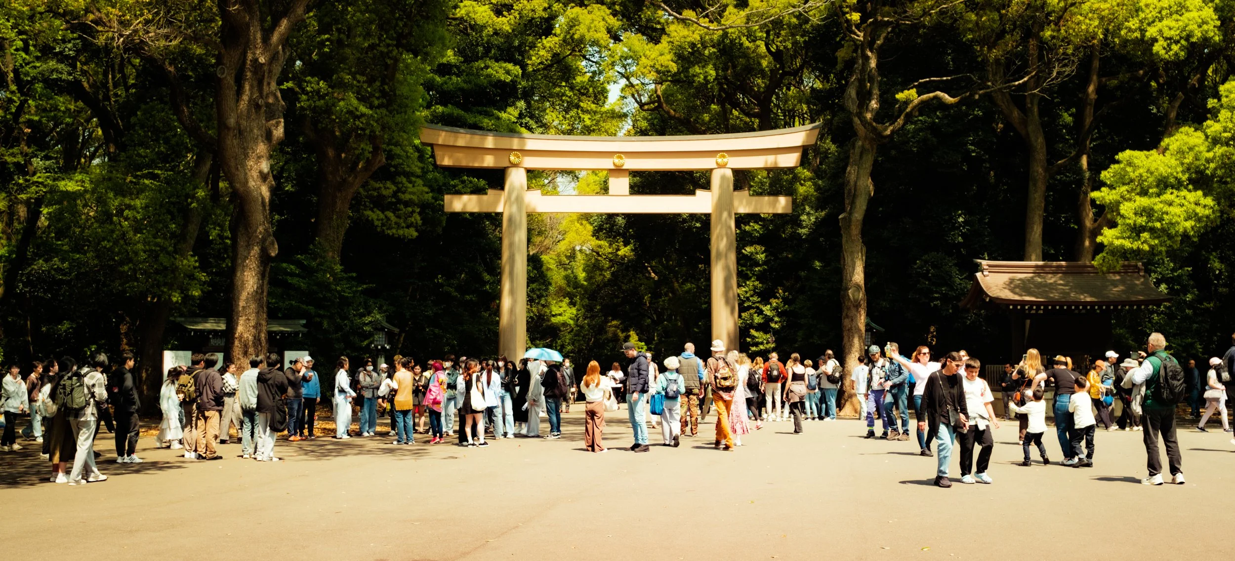 Hanami-12077.jpg