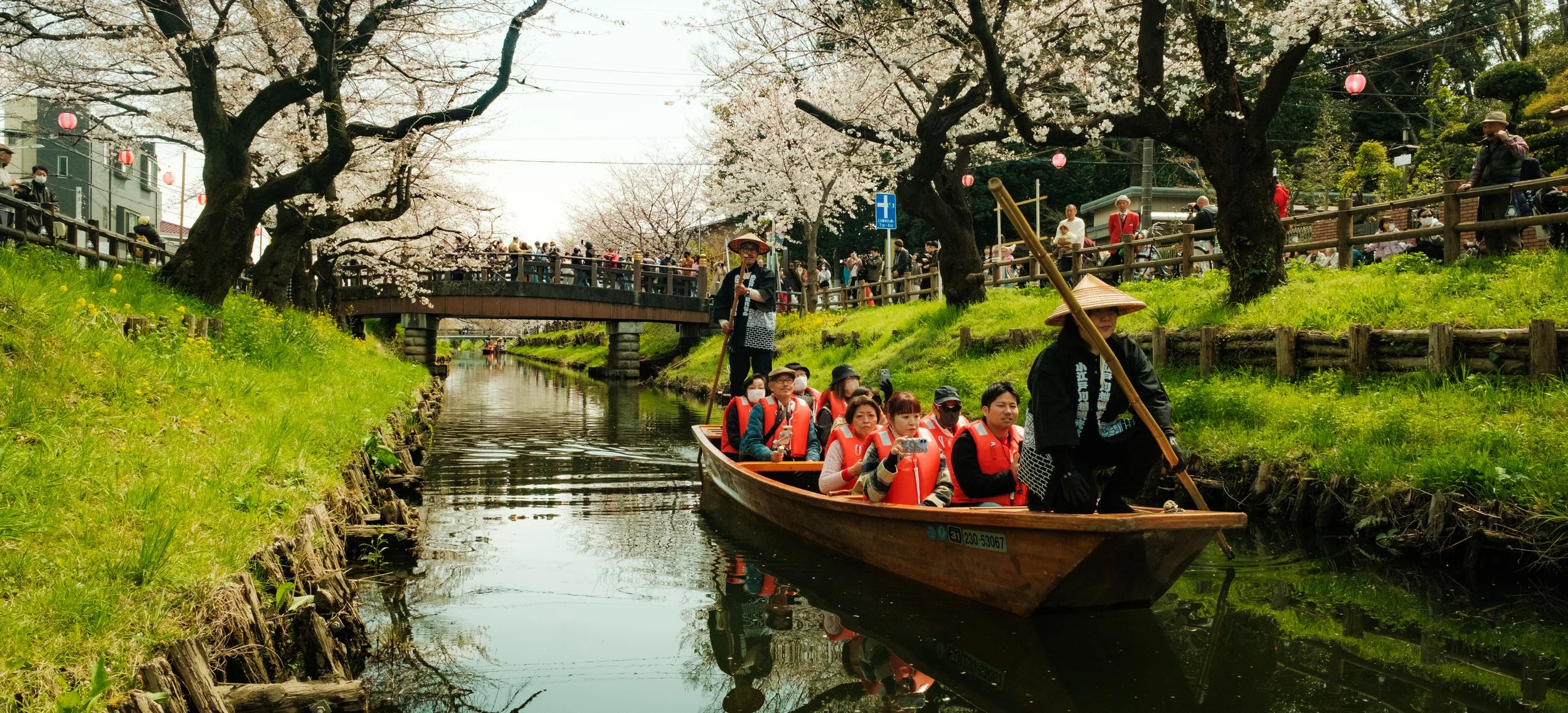 Hanami-1914.jpg