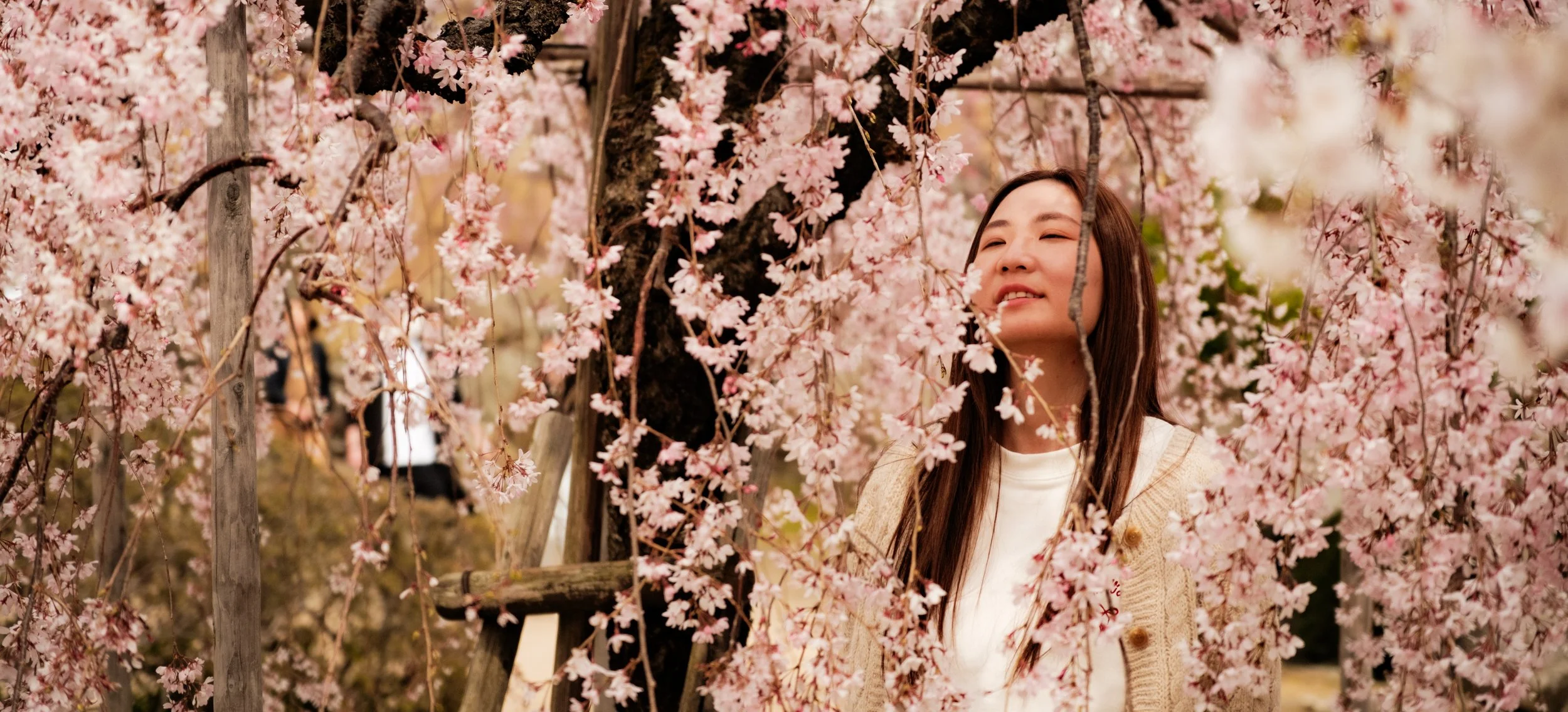 Hanami-5478.jpg