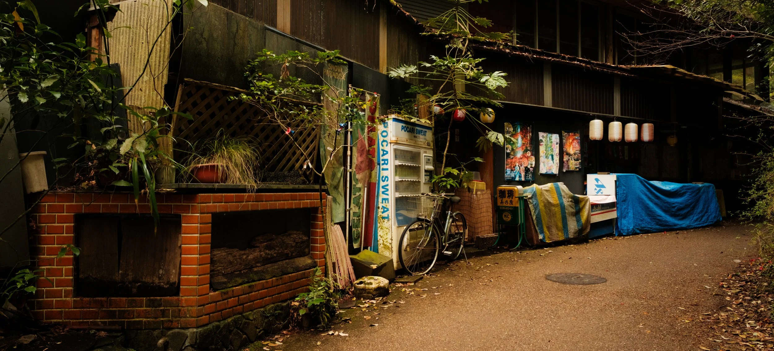 Hanami-6098.jpg