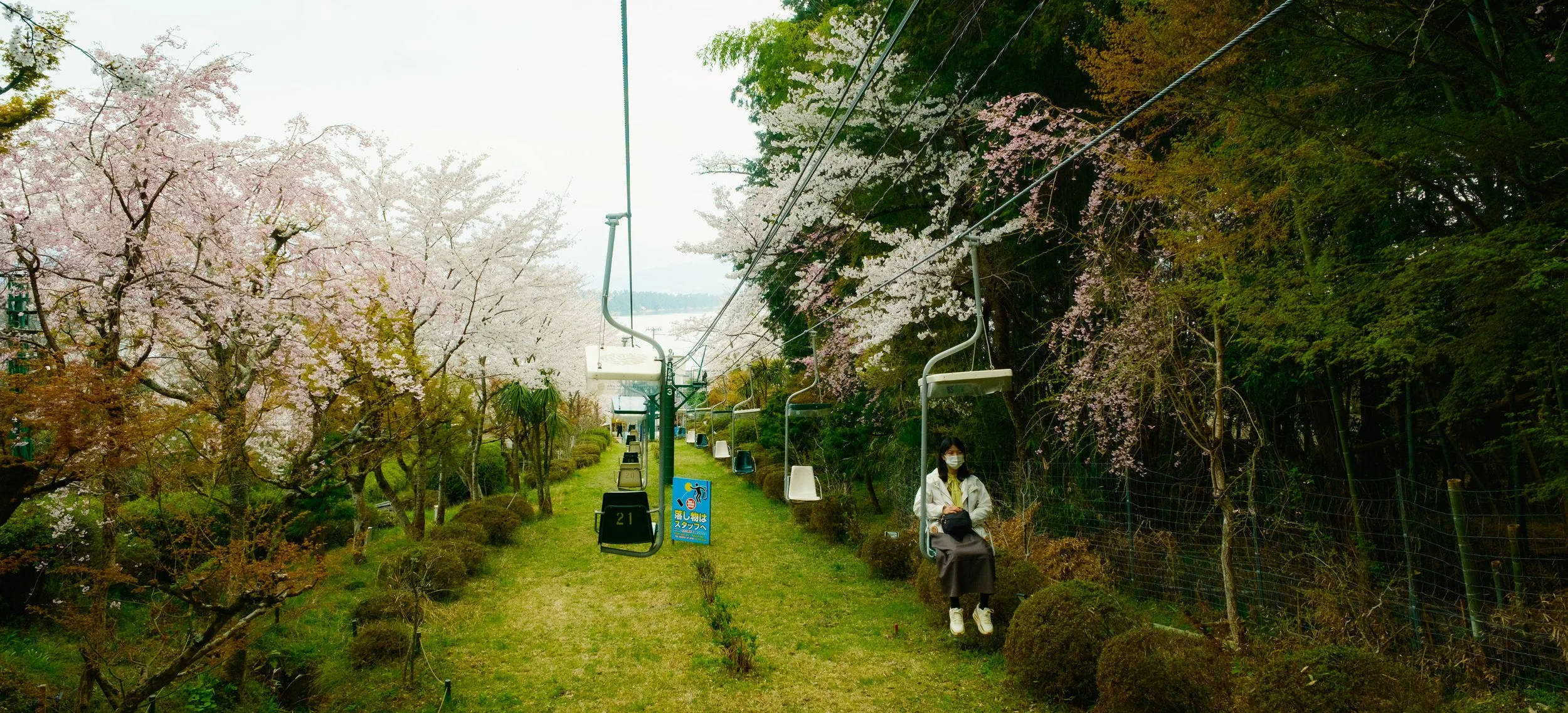 Hanami-9552.jpg