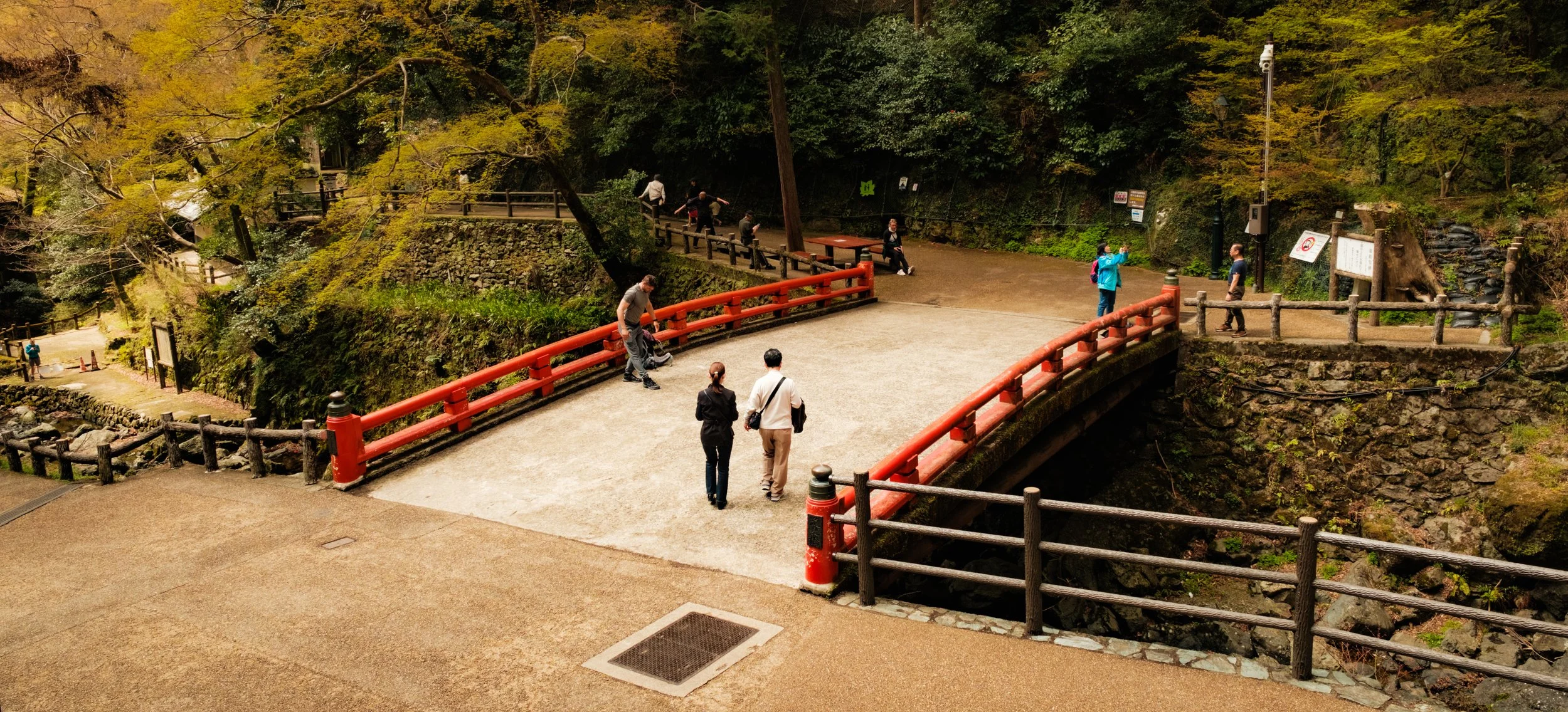 Hanami-6017.jpg