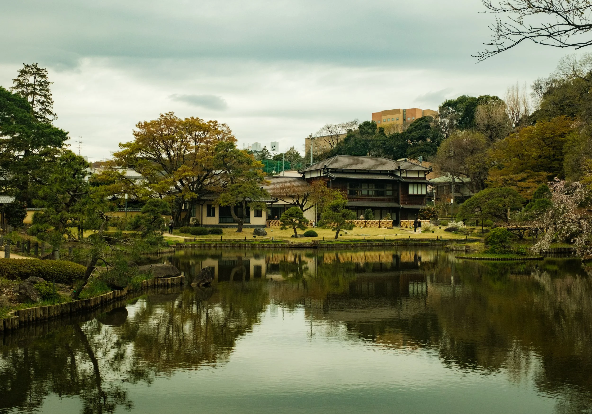 Hanami-2408.jpg