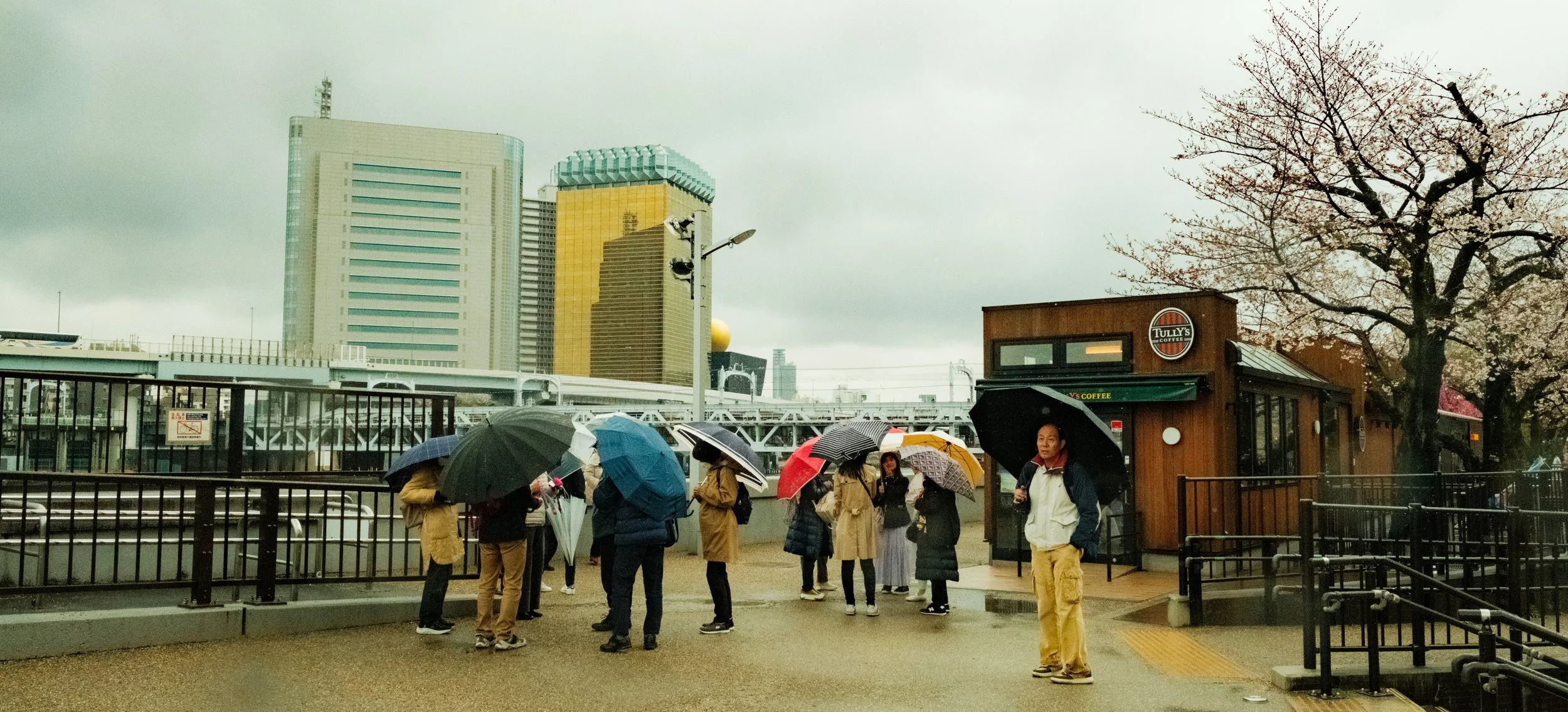 Hanami-970.jpg