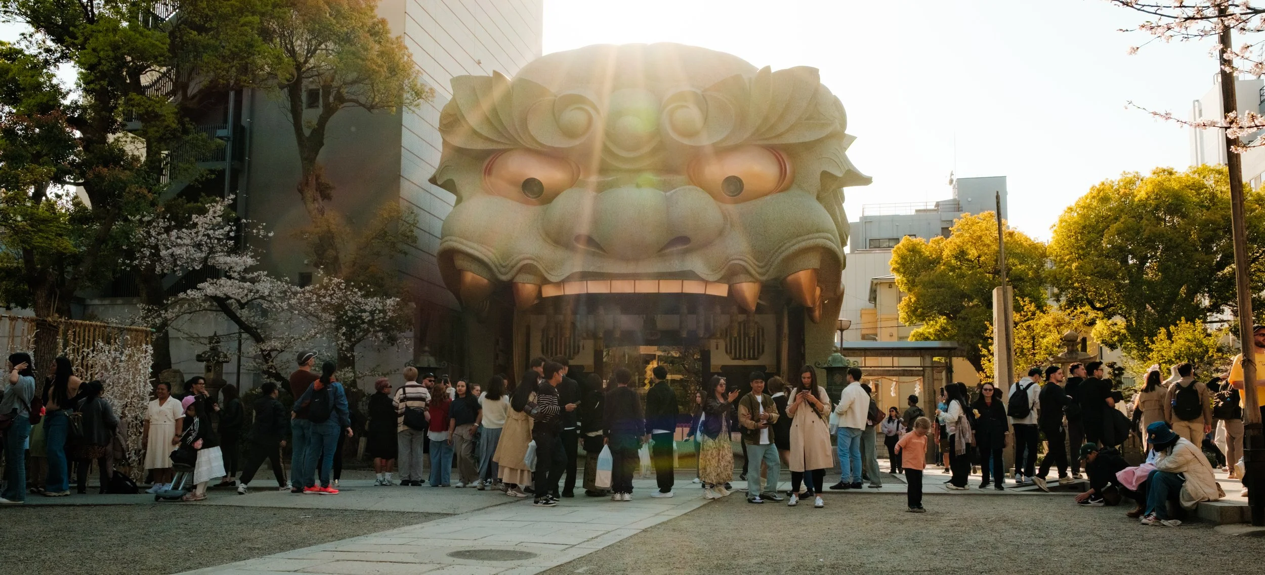 Hanami-6261.jpg