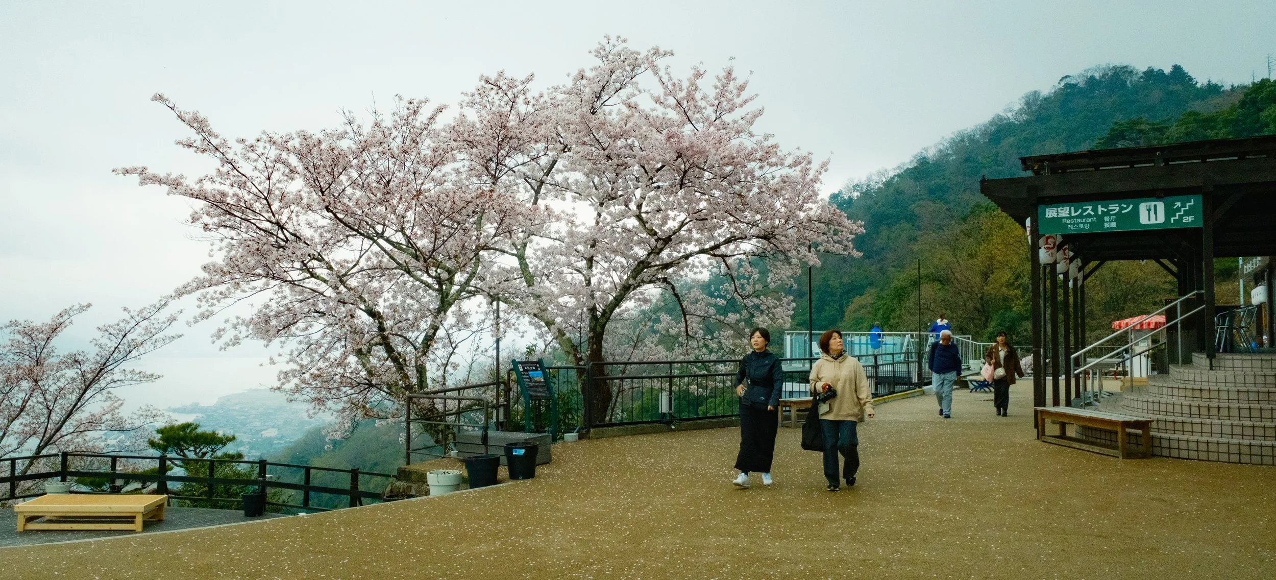 Hanami-9446.jpg
