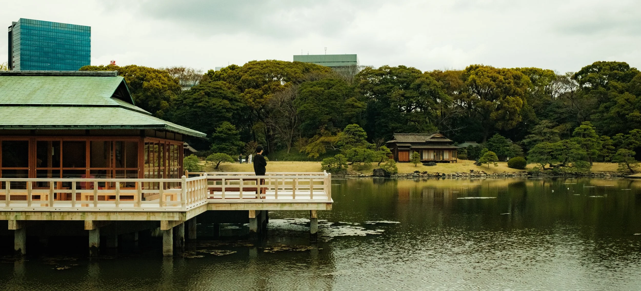 Hanami-2787.jpg