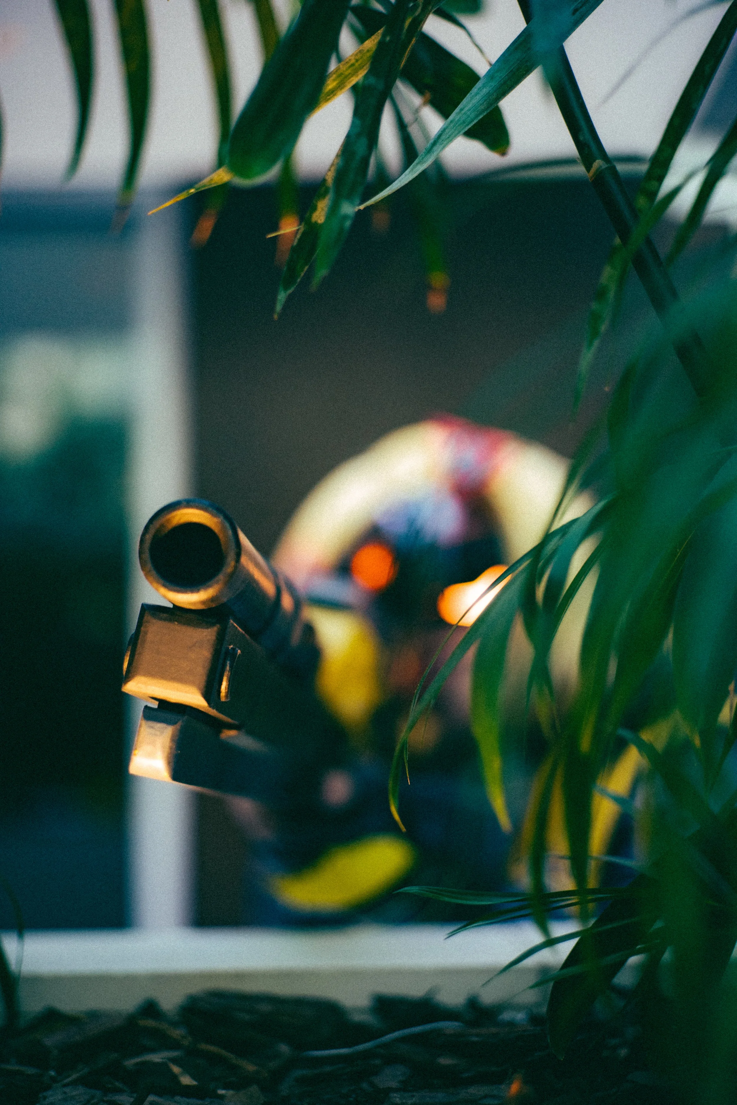 Sagittarius-974-Edit.jpg