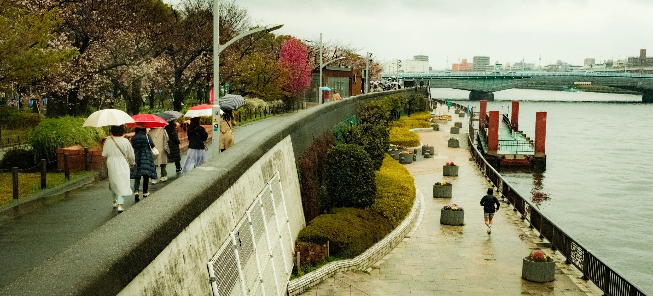 Hanami-944.jpg