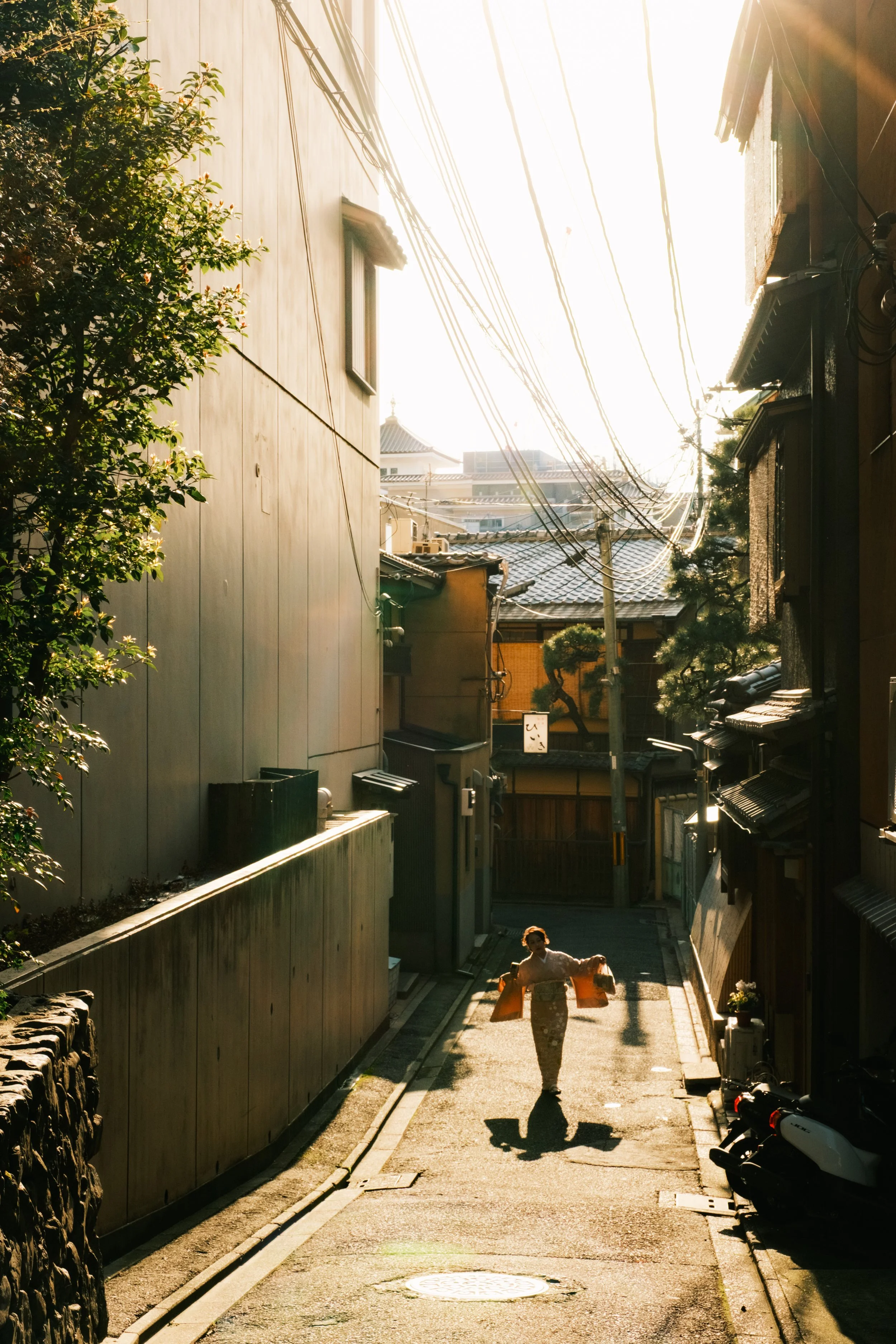 Hanami-7326-1.jpg