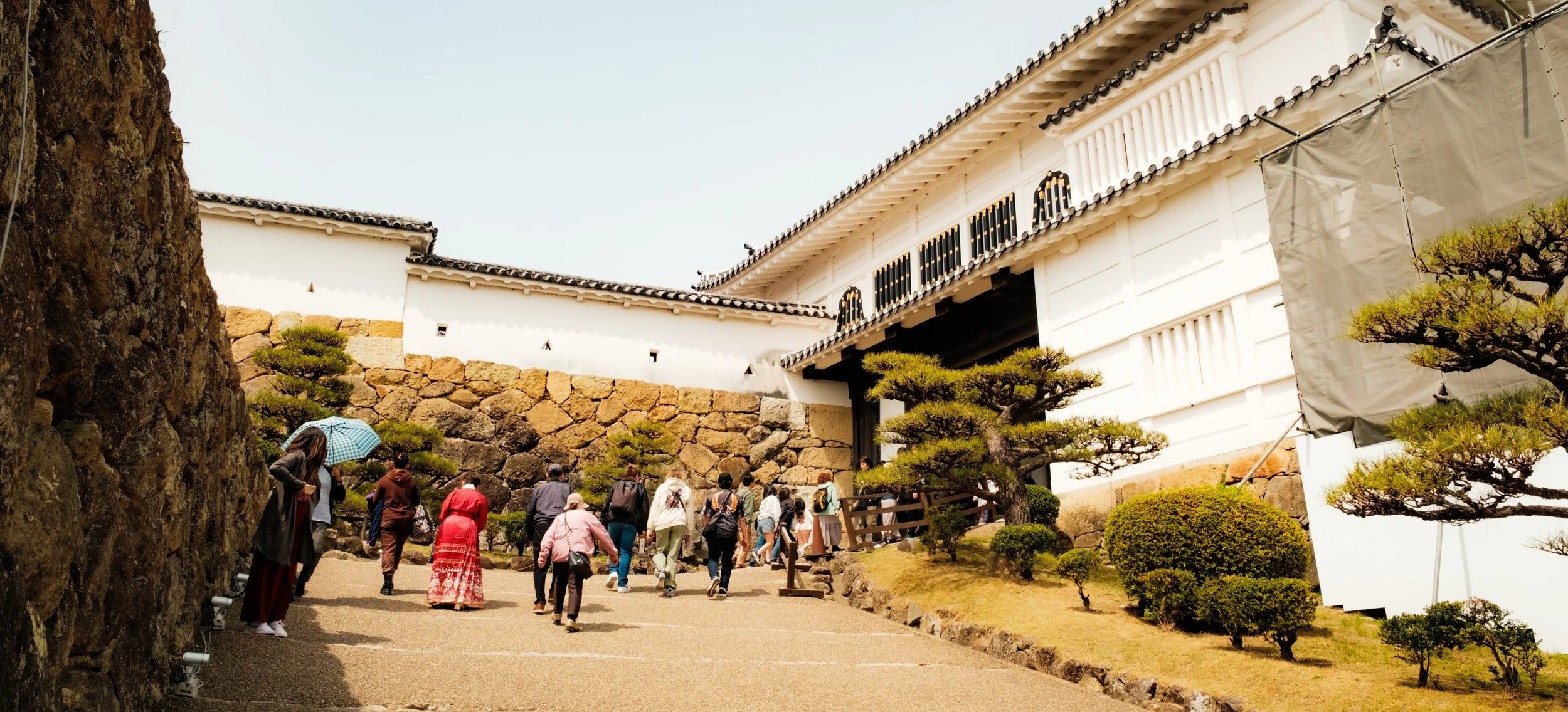 Hanami-5329.jpg