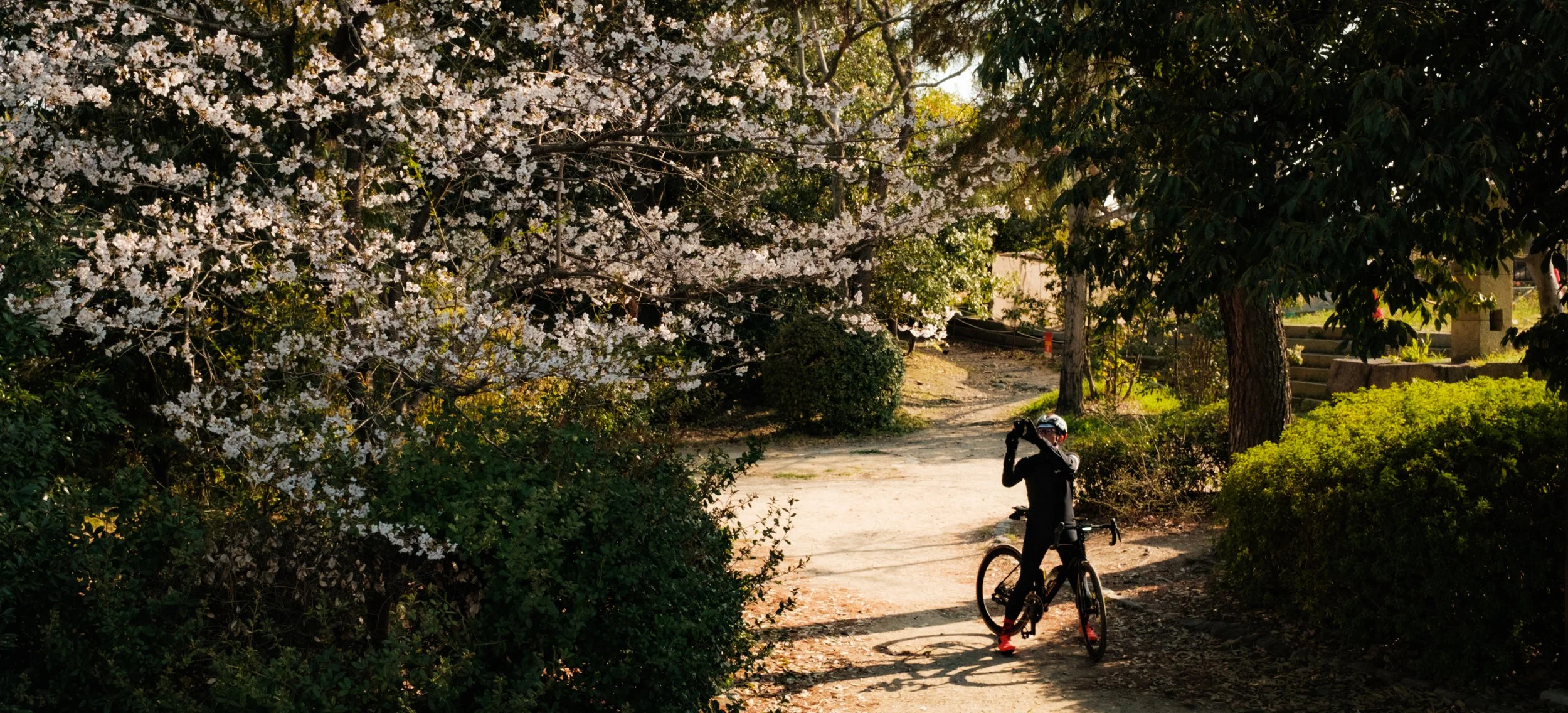 Hanami-5025.jpg